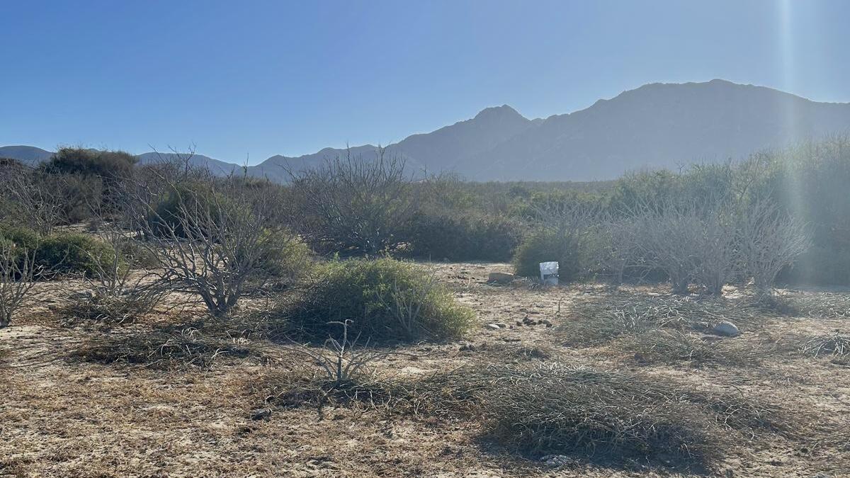 El Cardonal, Beachfront Paradise Lot