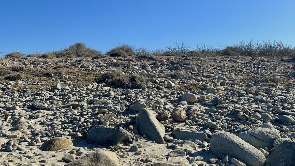 El Cardonal, Beachfront Paradise Lot