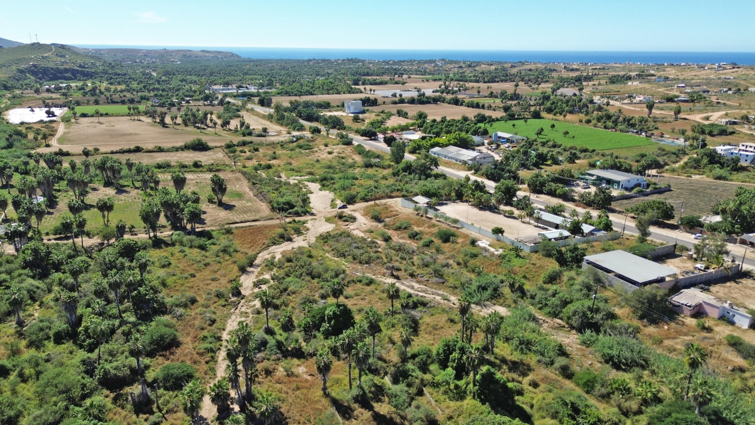 Hectare Huerta Lot | Todos Santos, Baja California Sur