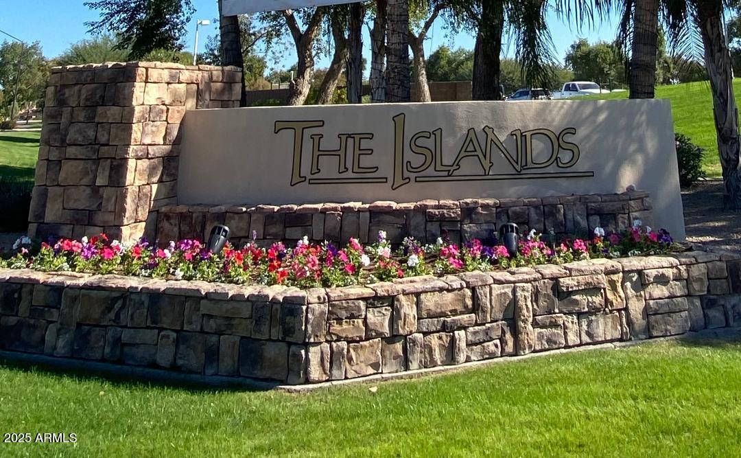 919 S PARADISE Drive