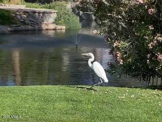 1146 W SEA FOG Drive