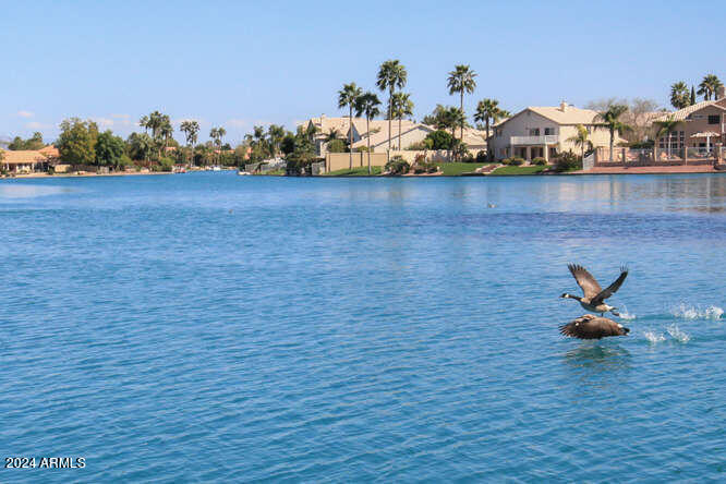 1438 W CORAL REEF Drive