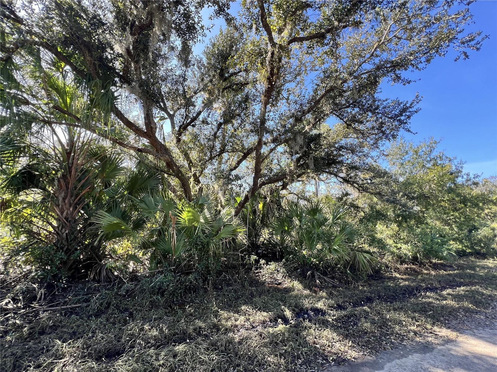 Lot 5 JEMING RD