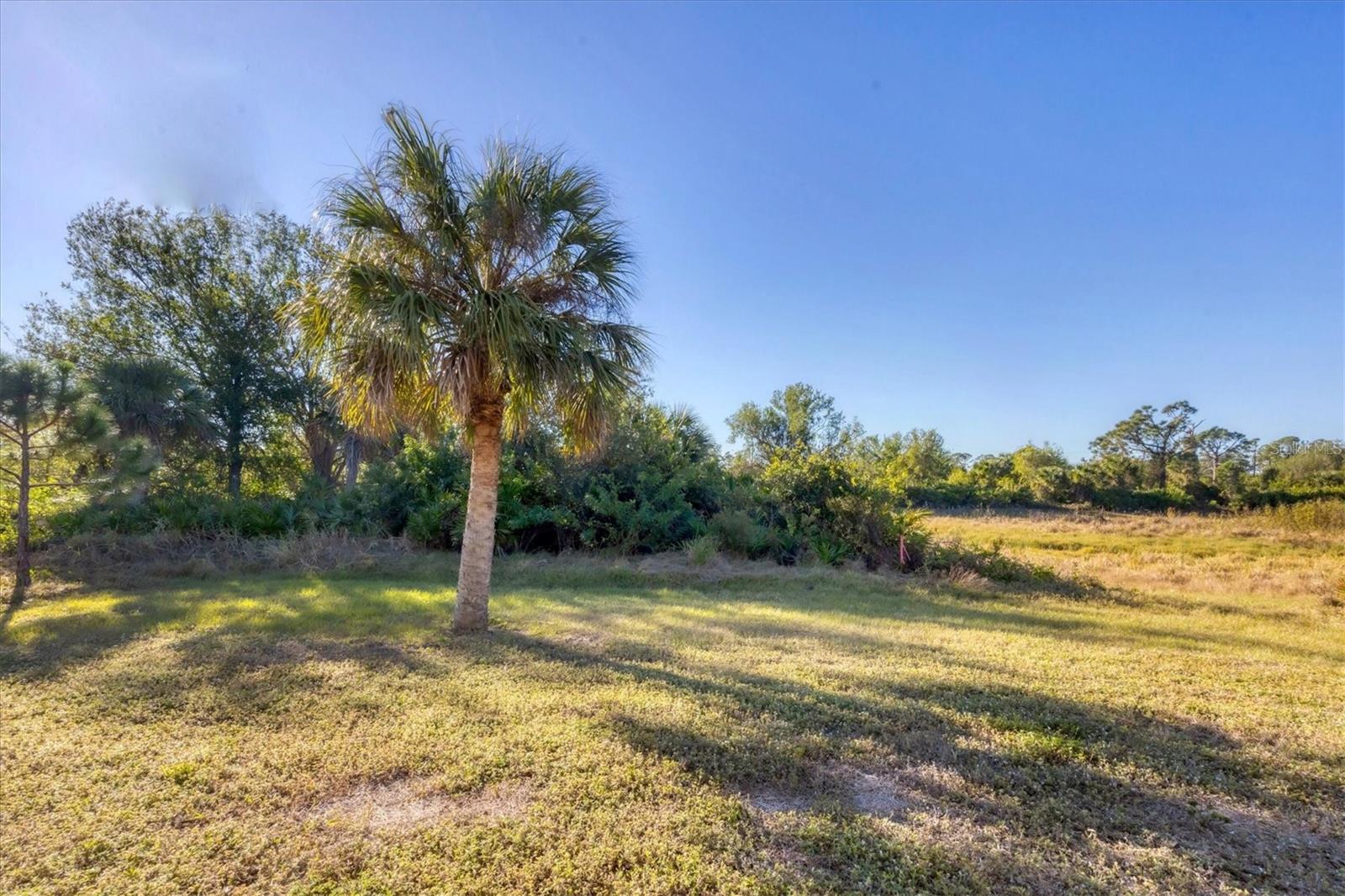 119 WHITE PINE DR