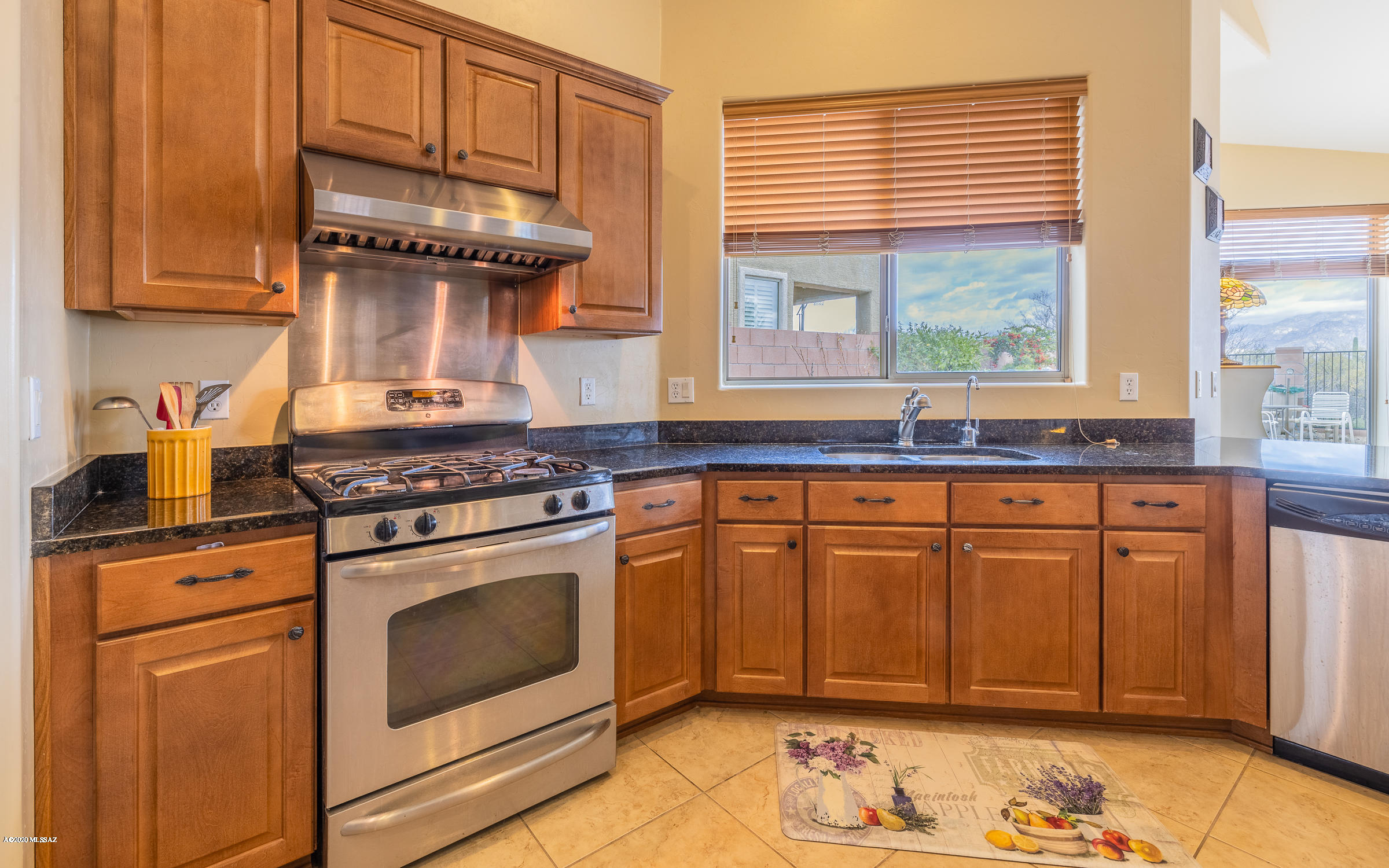 12344 N Paseo Penuela