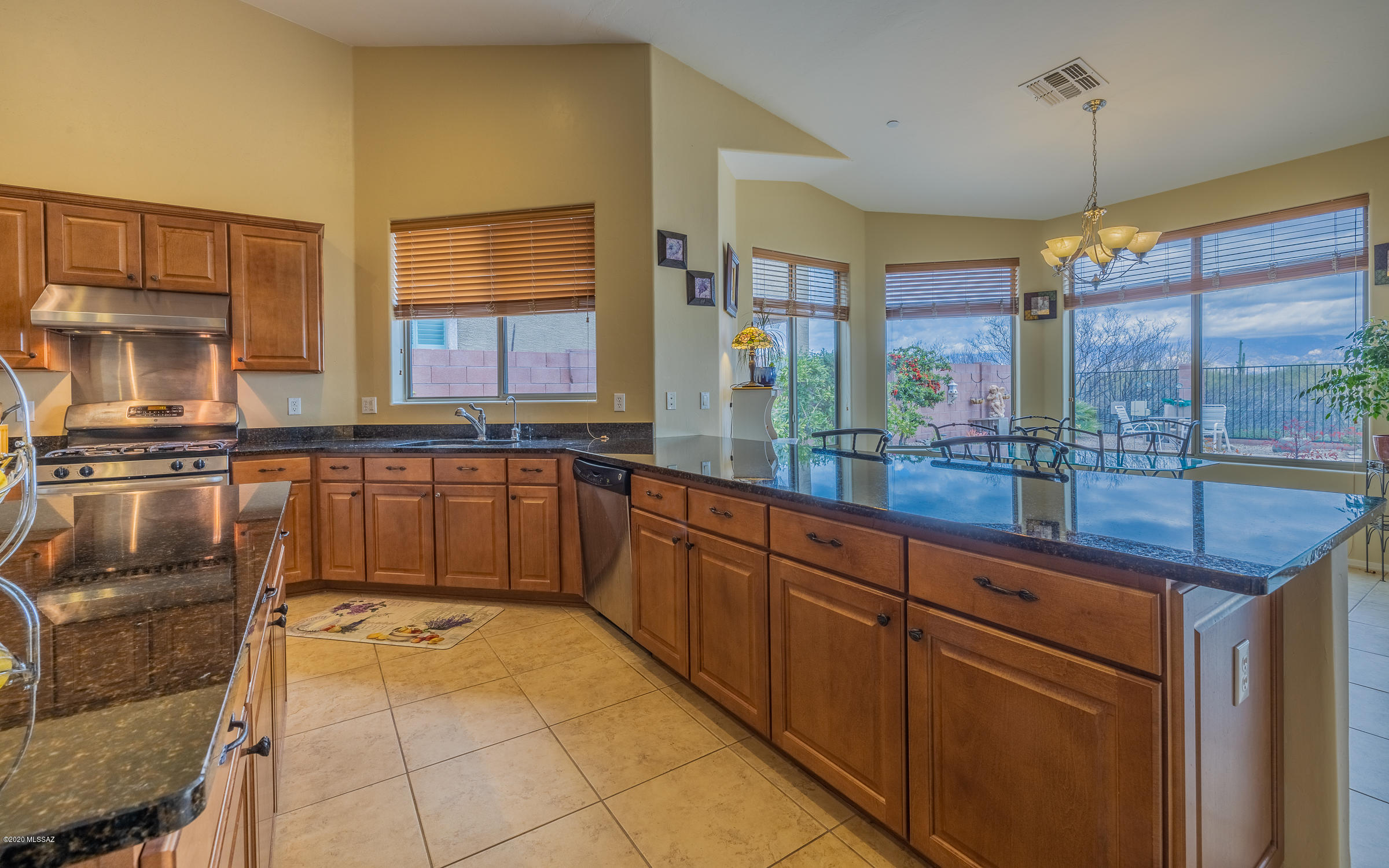 12344 N Paseo Penuela
