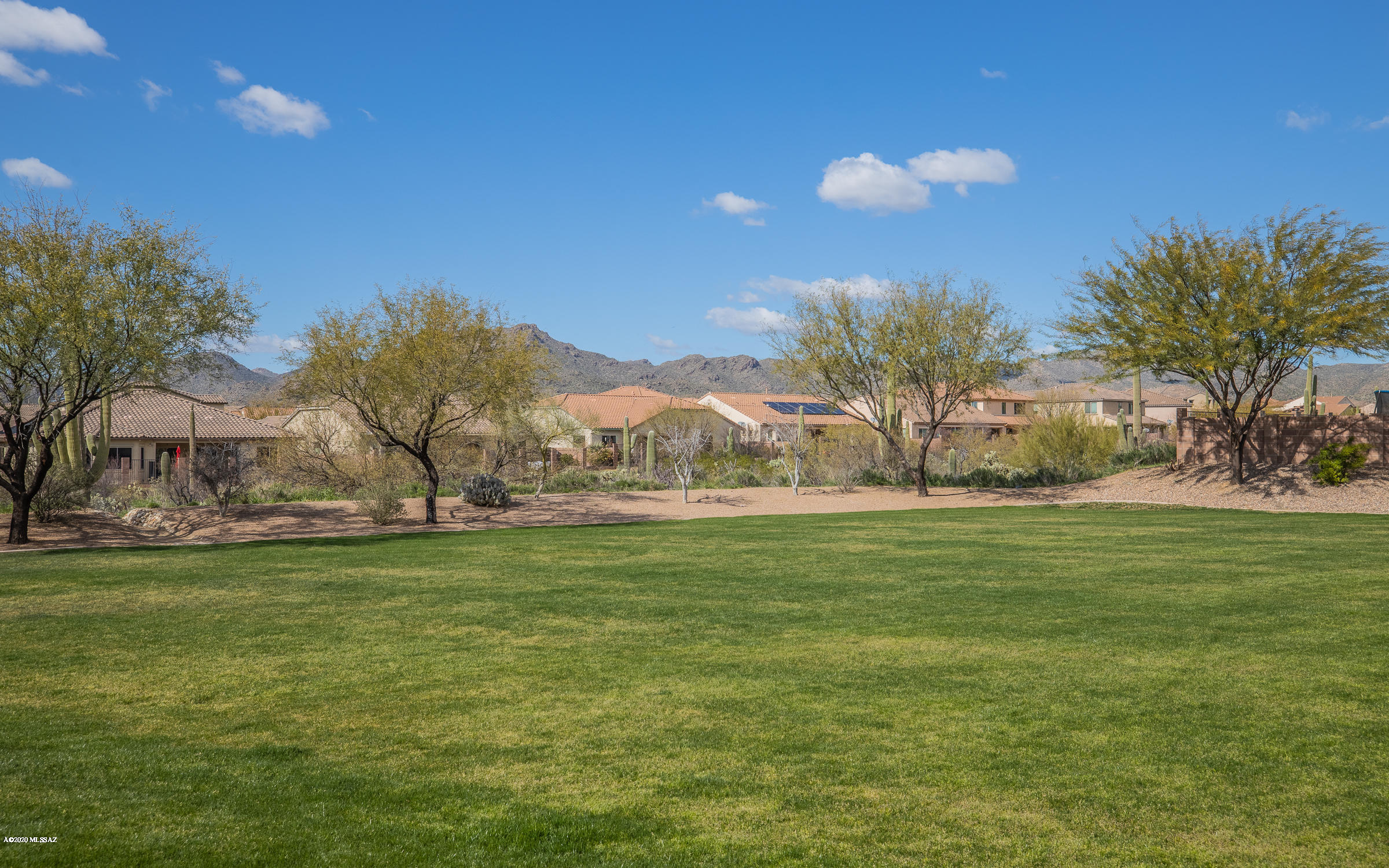 12344 N Paseo Penuela