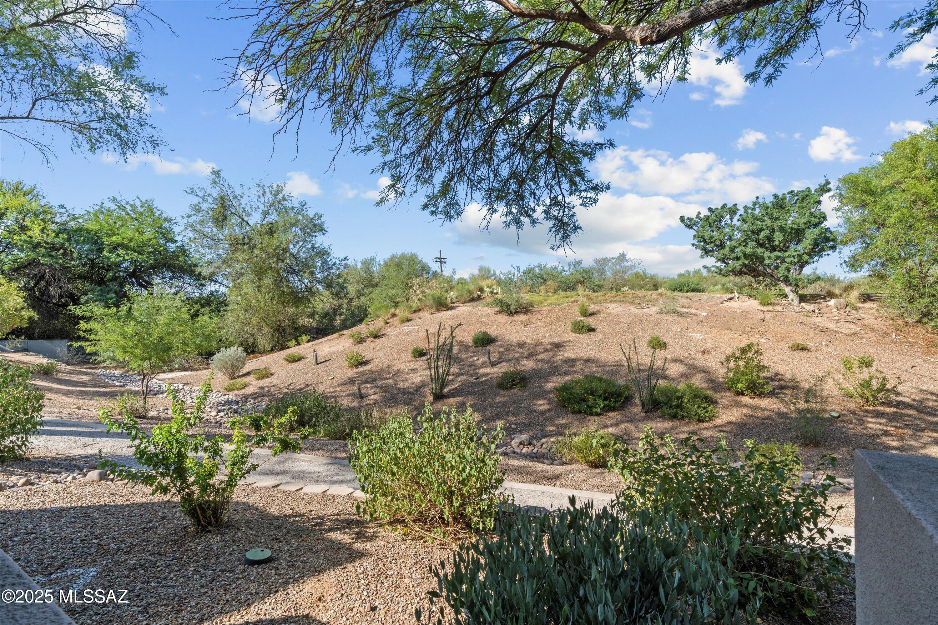 5855 N Kolb Road Unit: 4105