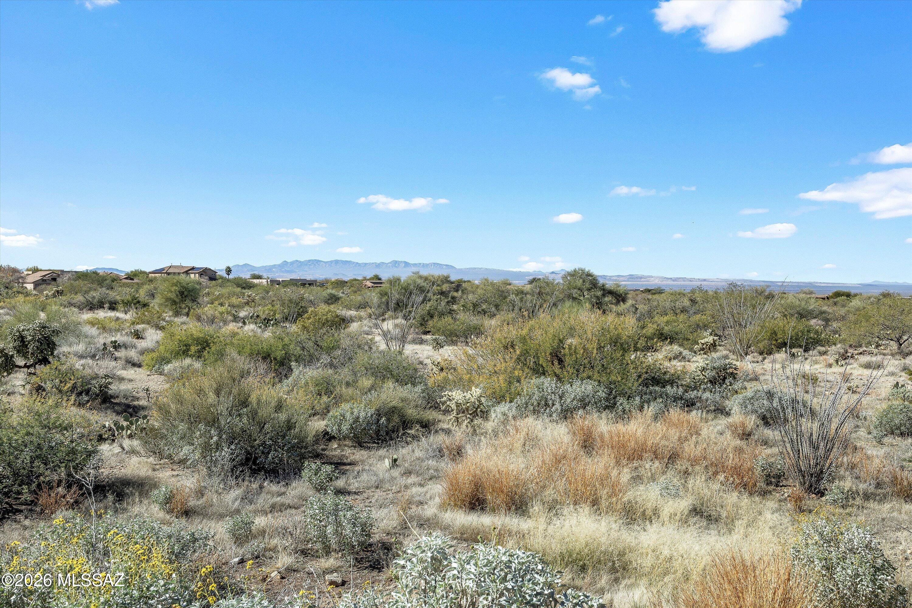 16990 S Vanilla Orchid Drive