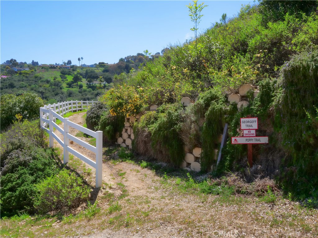 3 Poppy Trail