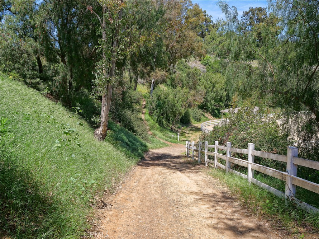 3 Poppy Trail