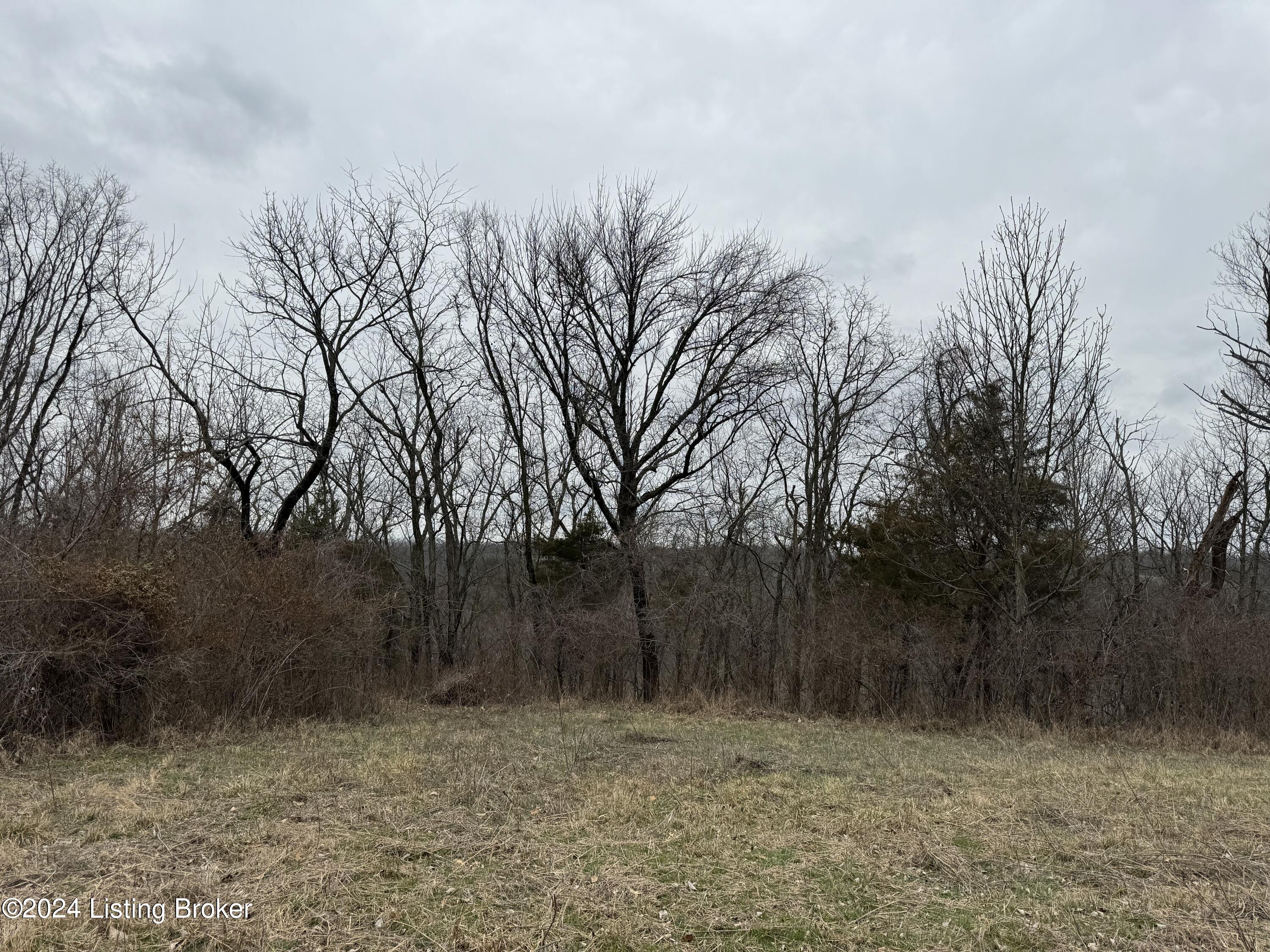 Tract 3 High Grove Rd