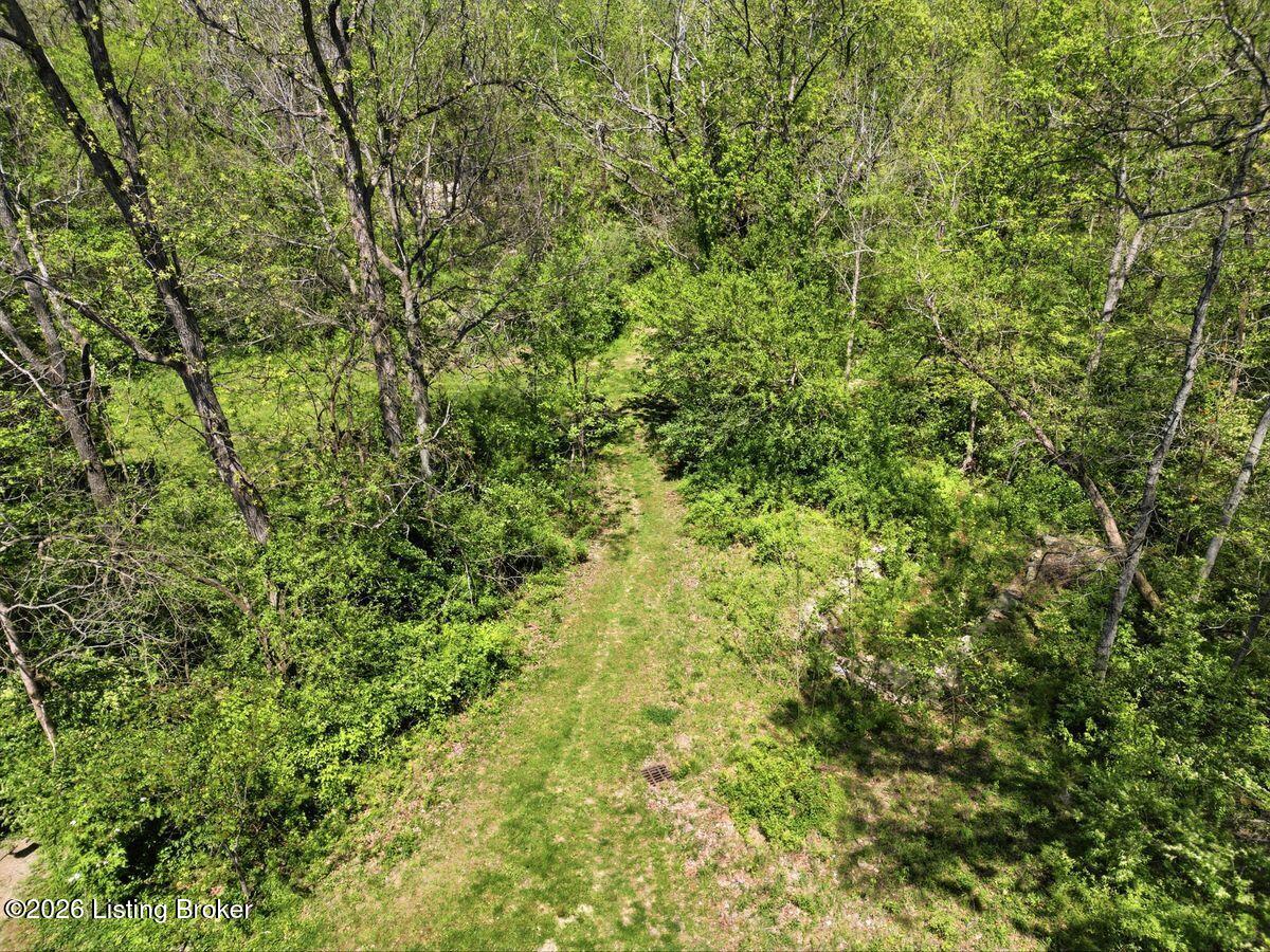 115 Locust Park Pl
