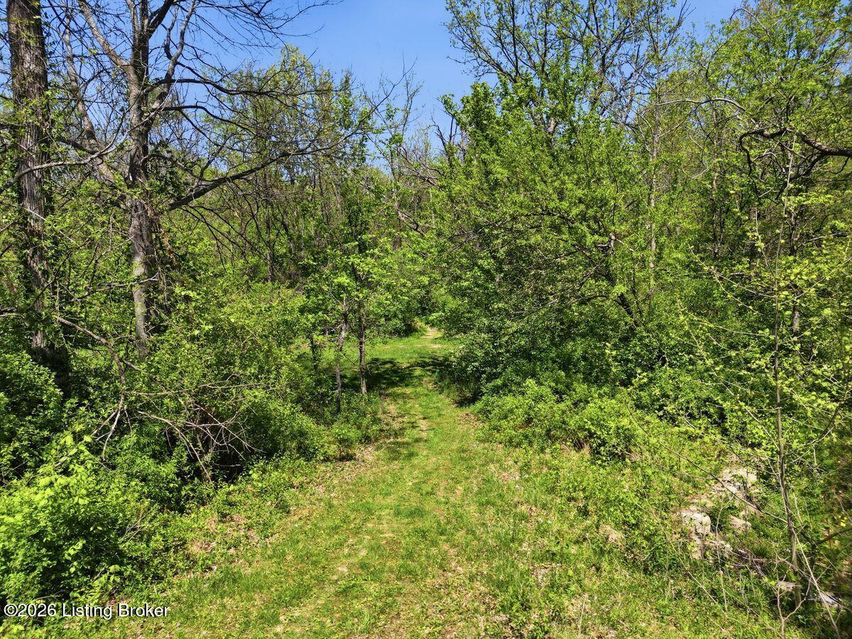 115 Locust Park Pl