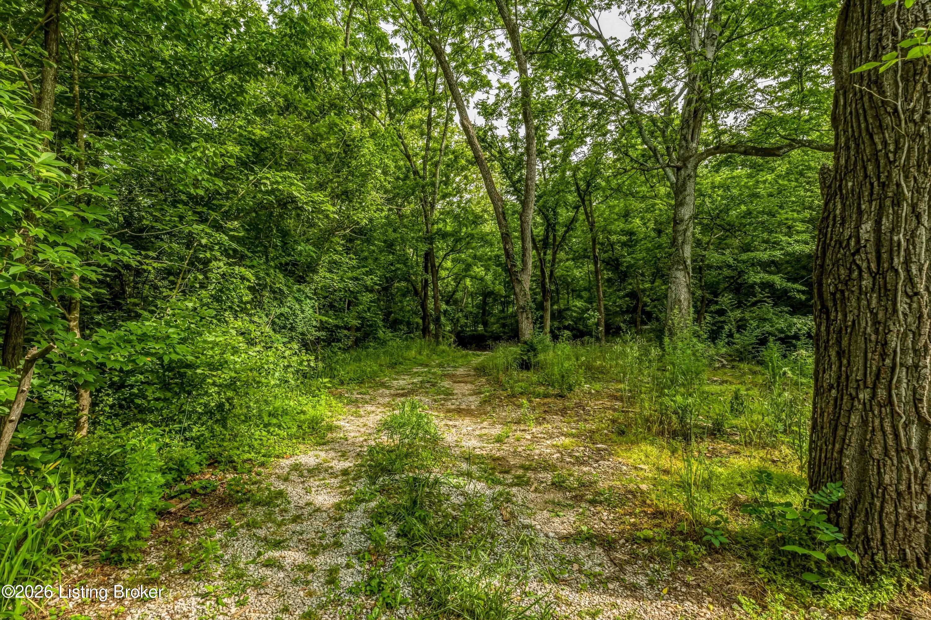 1795 Simpson Creek Rd