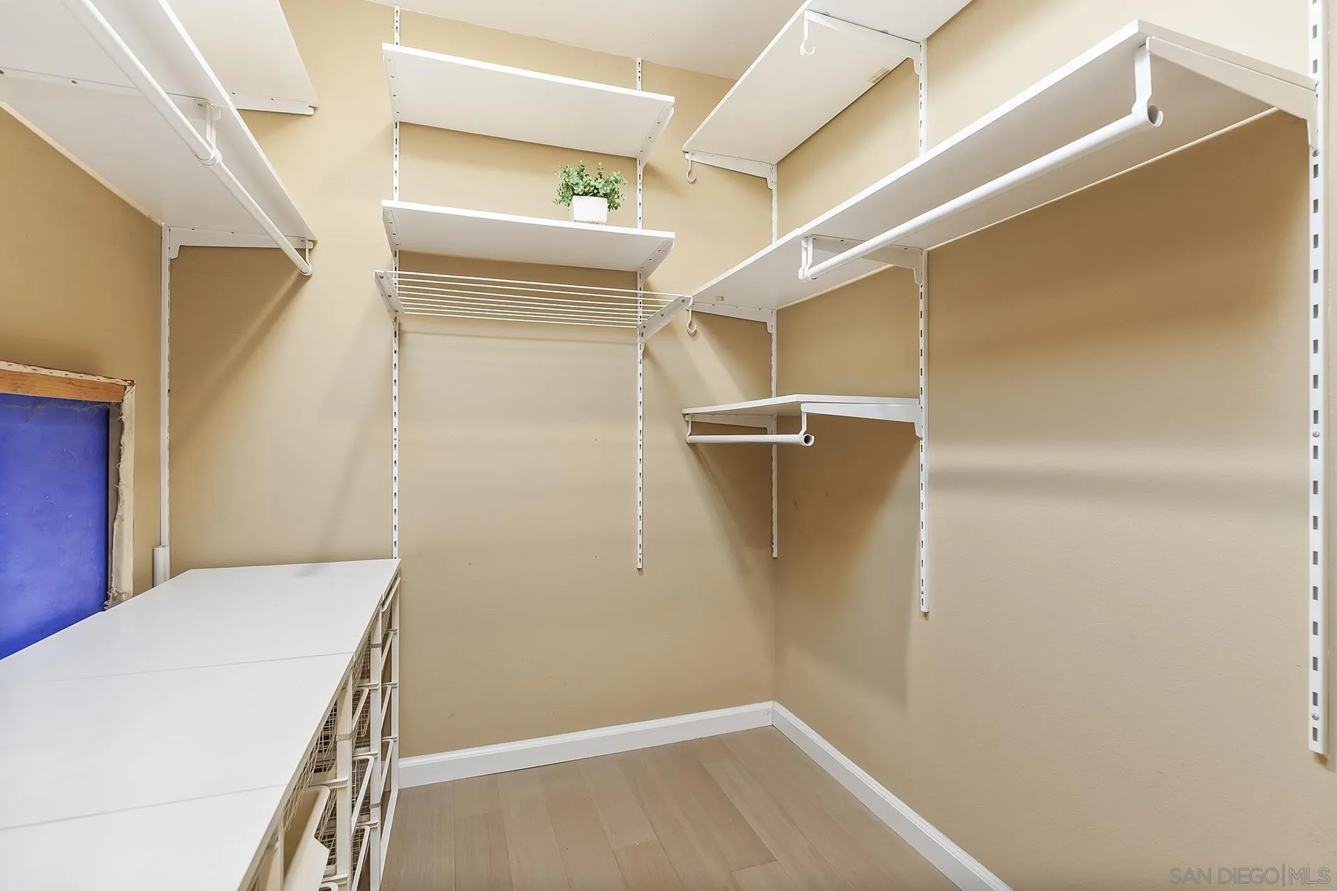 5358 Caminito Velasquez