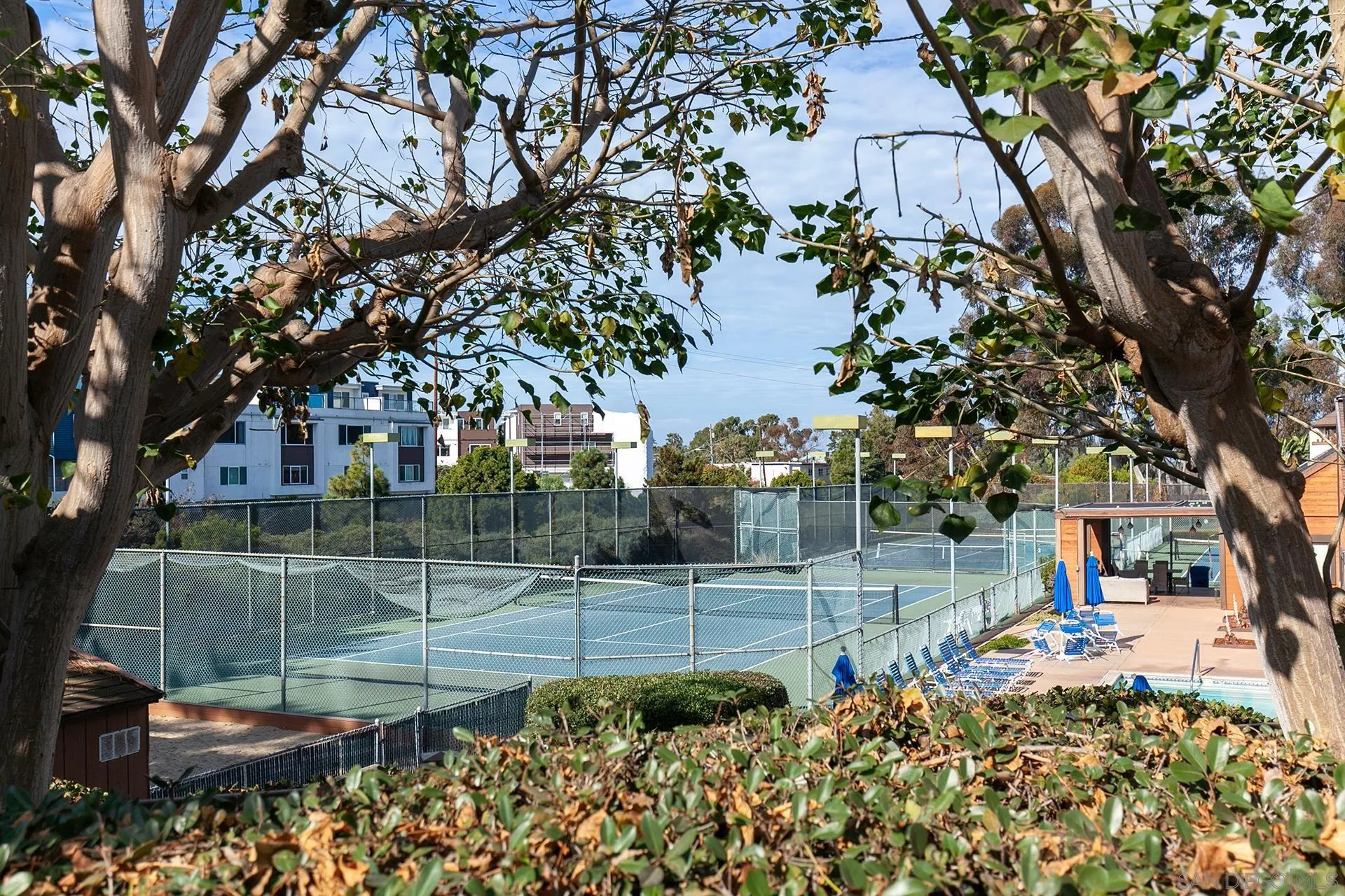 2232 Caminito Pajarito Unit 112