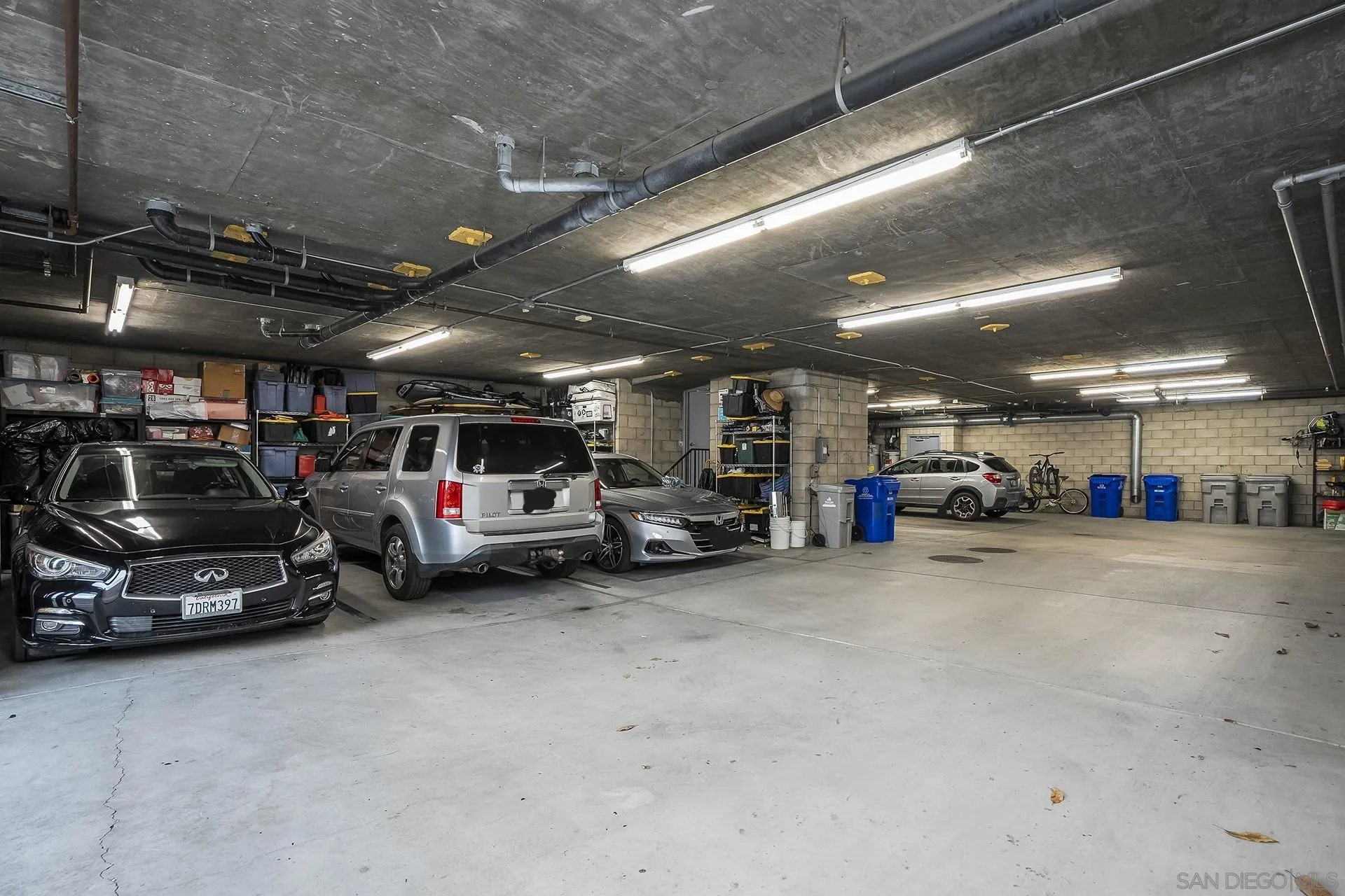 3119 Carleton Unit 1