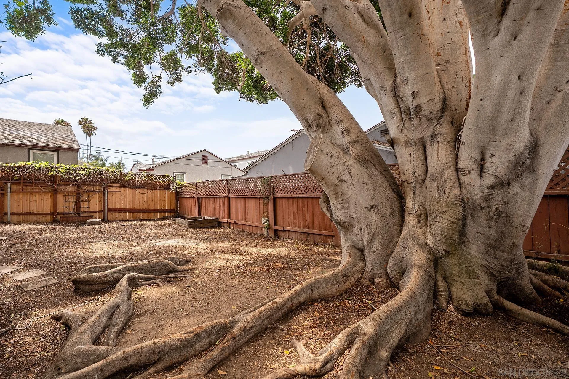 1537 Sunset Cliffs