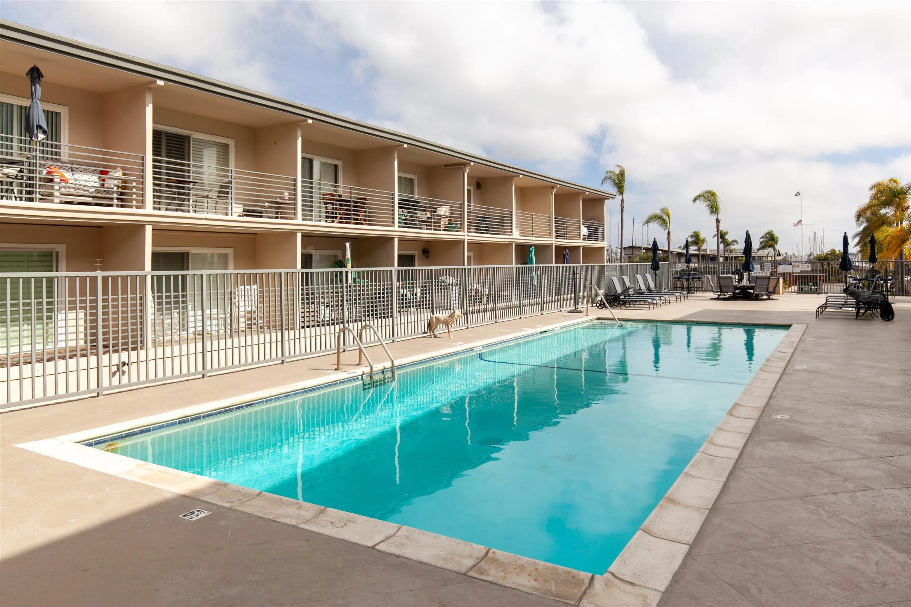 1021 Scott Unit 107