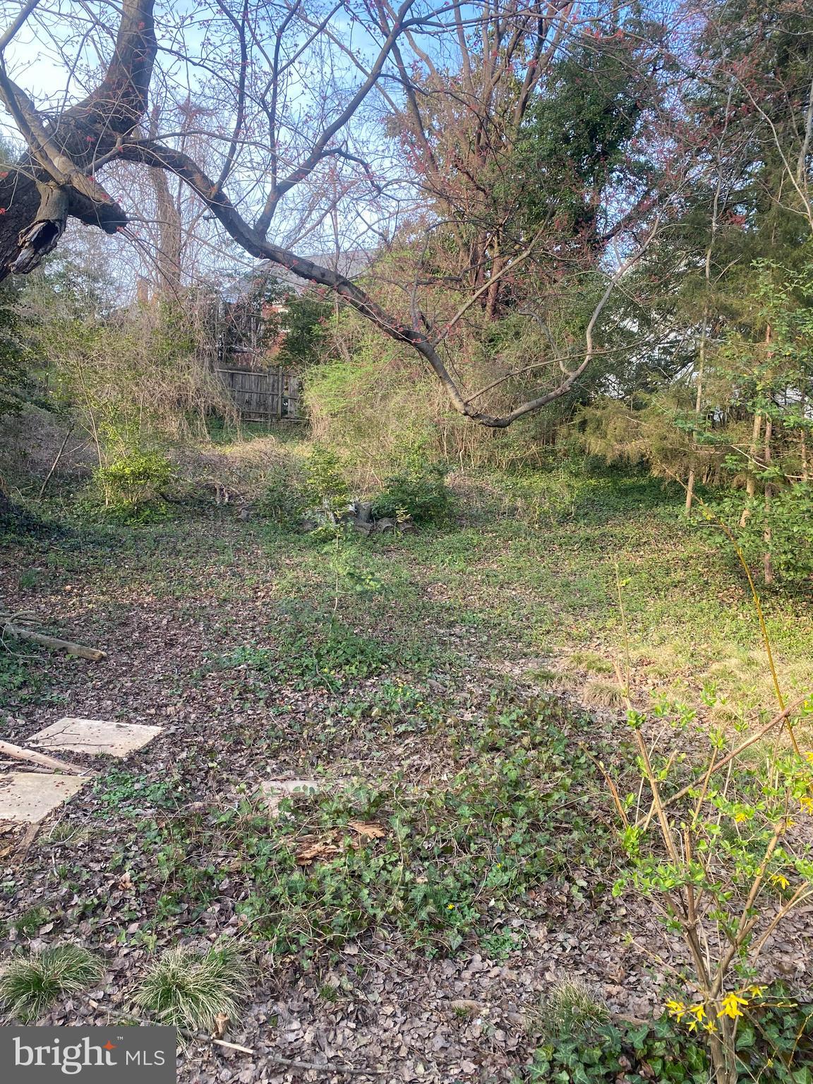 6335 Washington Blvd