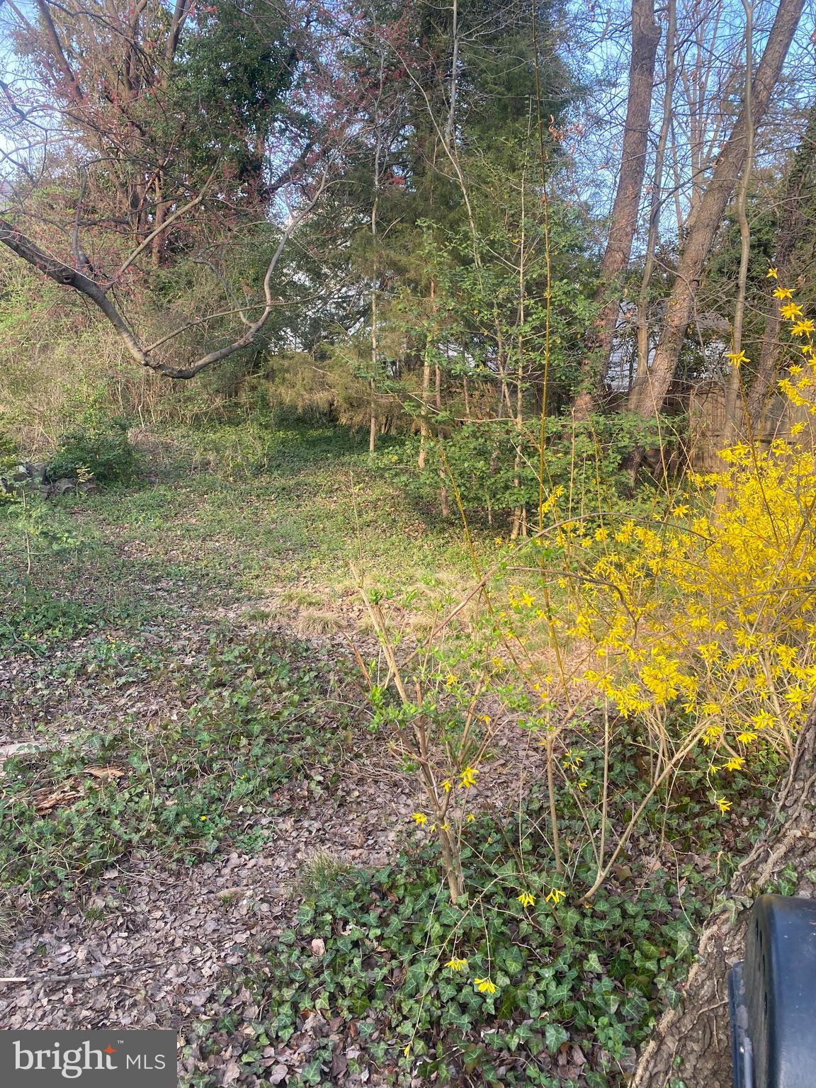 6335 Washington Blvd