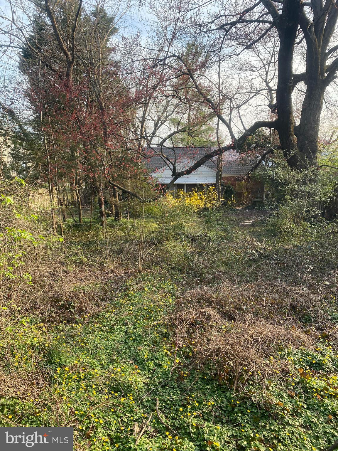 6335 Washington Blvd