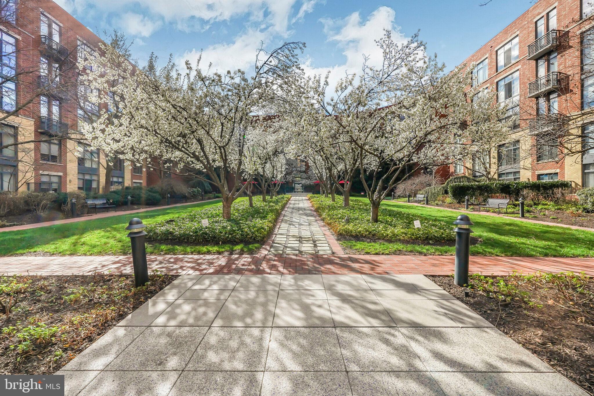 520 John Carlyle St #104