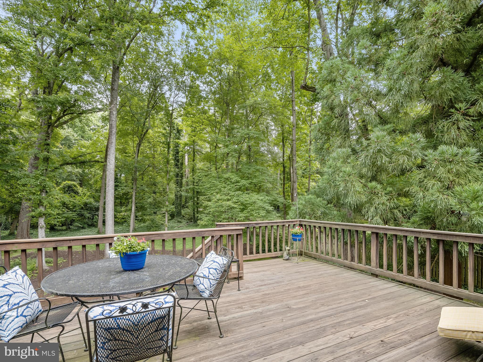 9013 Charles Augustine Dr