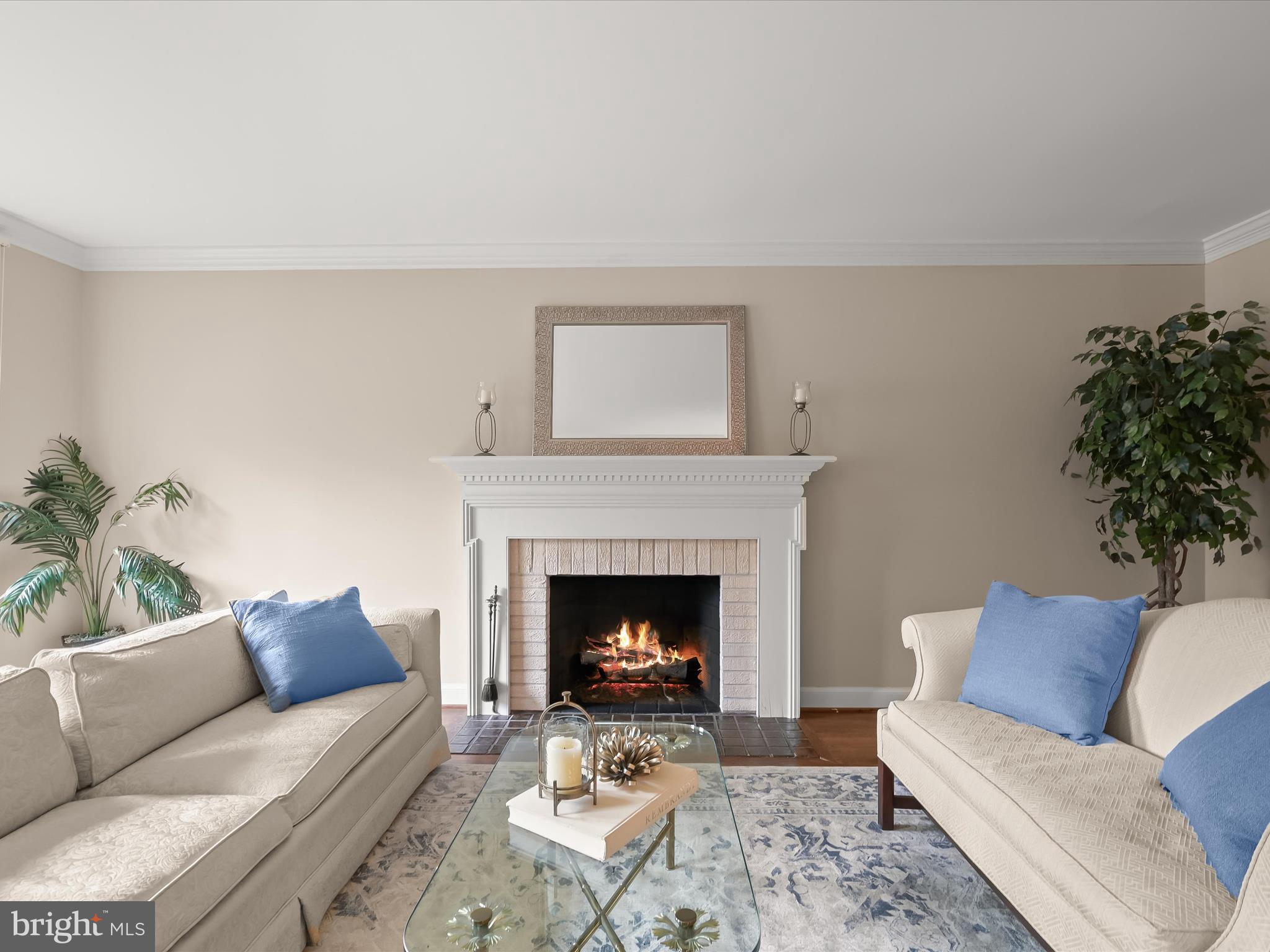 9013 Charles Augustine Dr