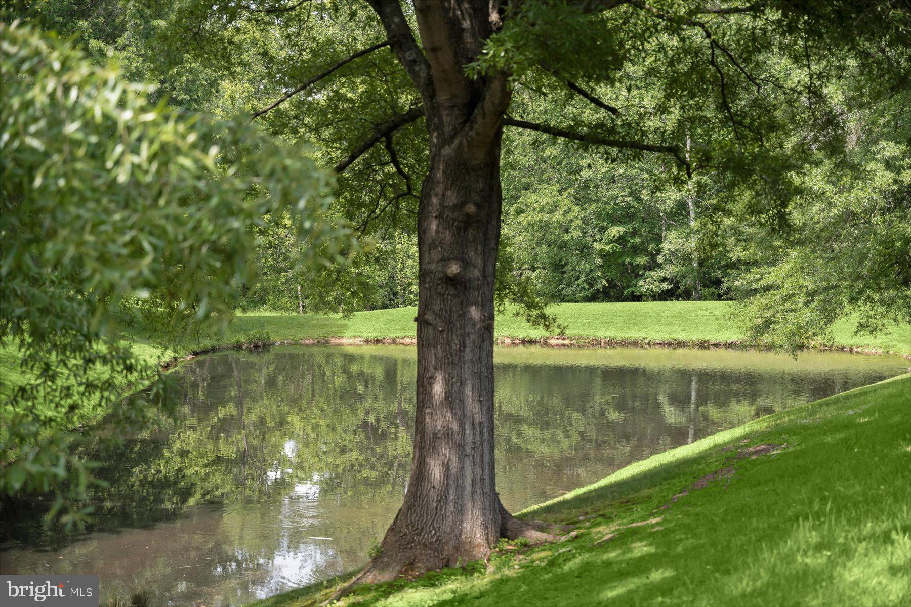 3422 Silver Maple Pl