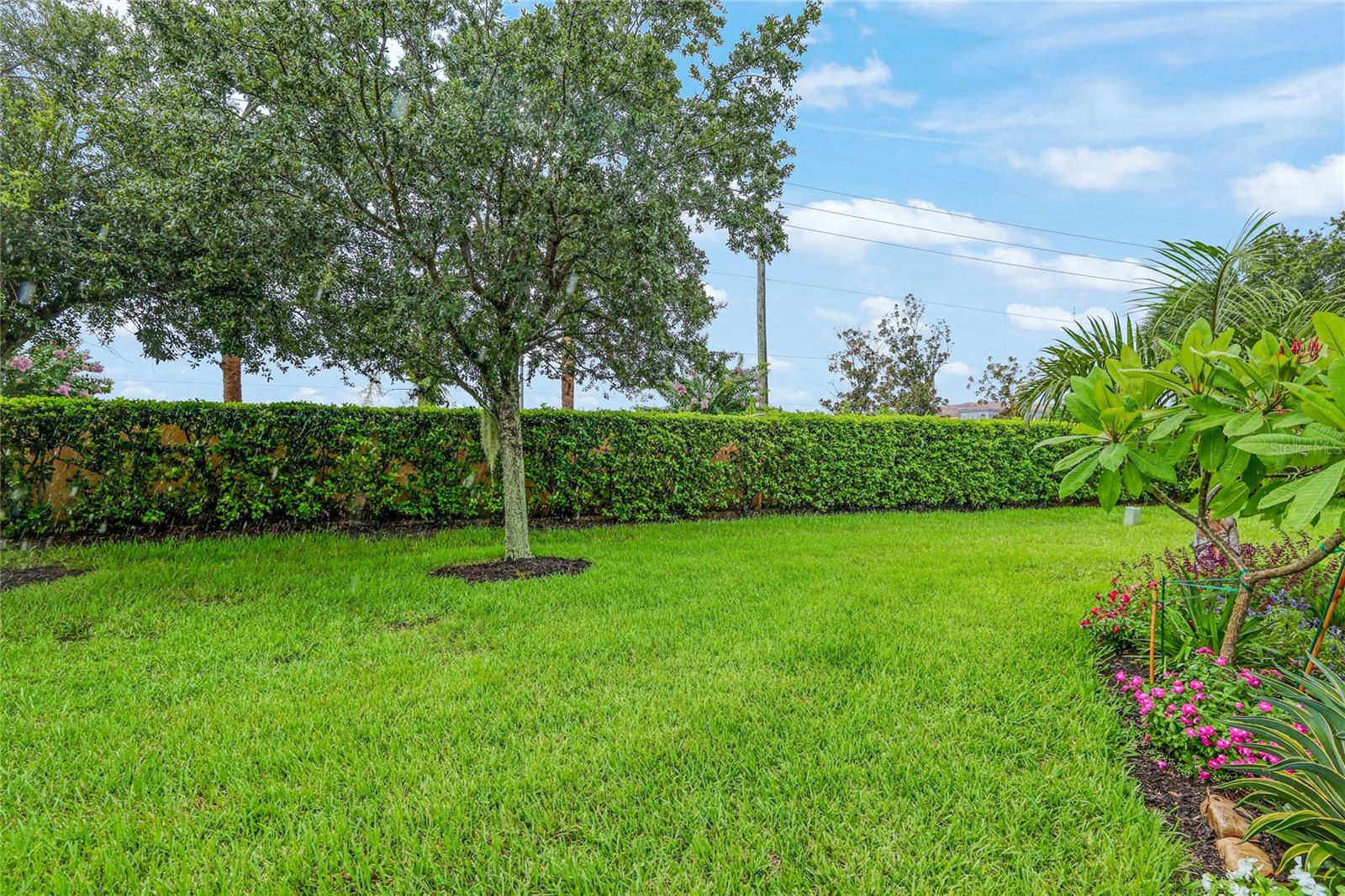 1154 CIELO CT