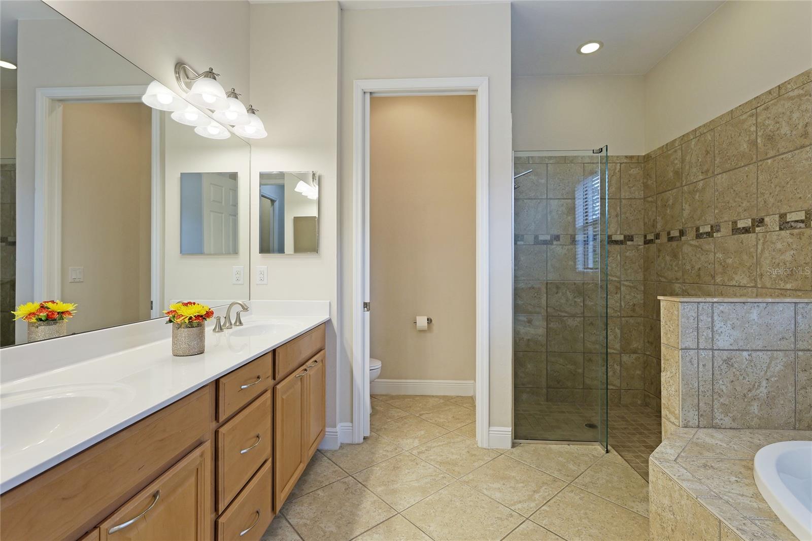 1154 CIELO CT