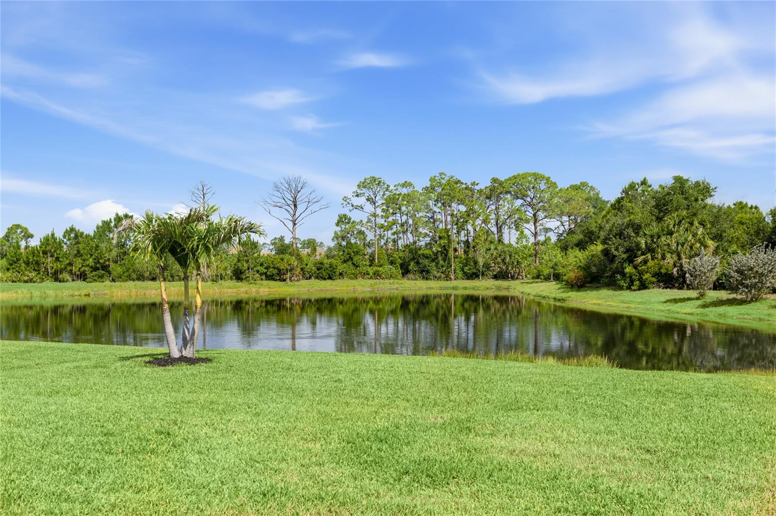 333 DAYLILY BLVD