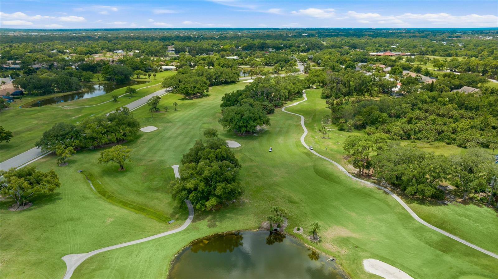 2102 CALUSA LAKES BLVD