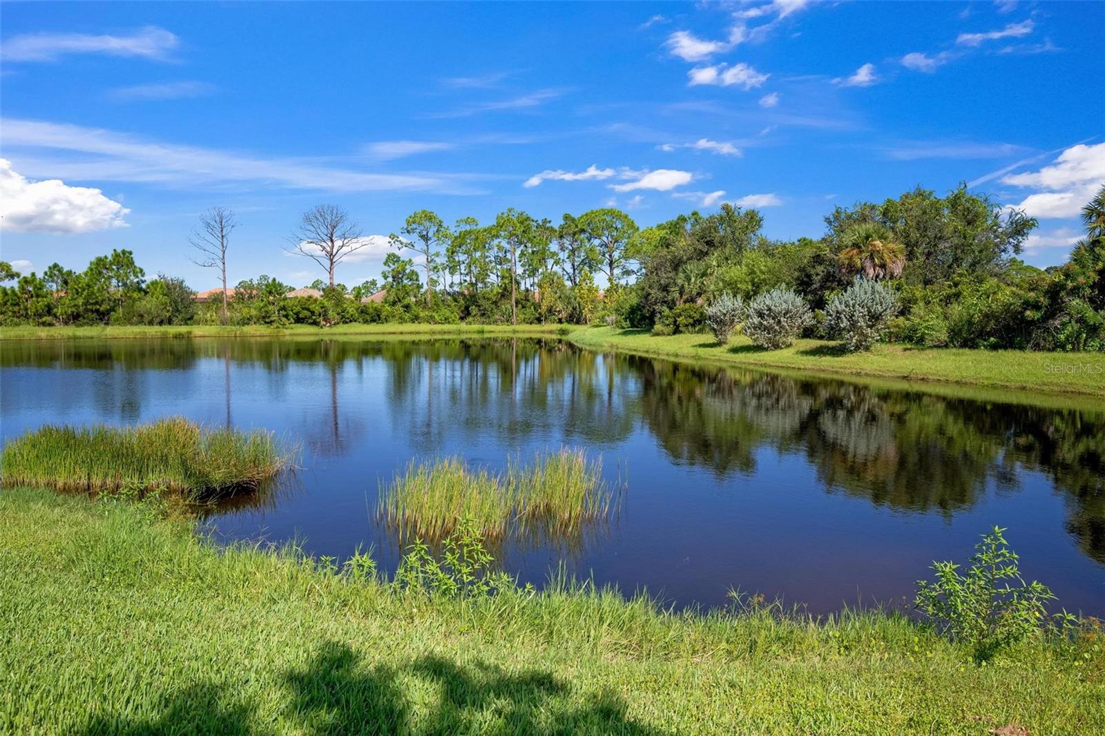 333 DAYLILY BLVD
