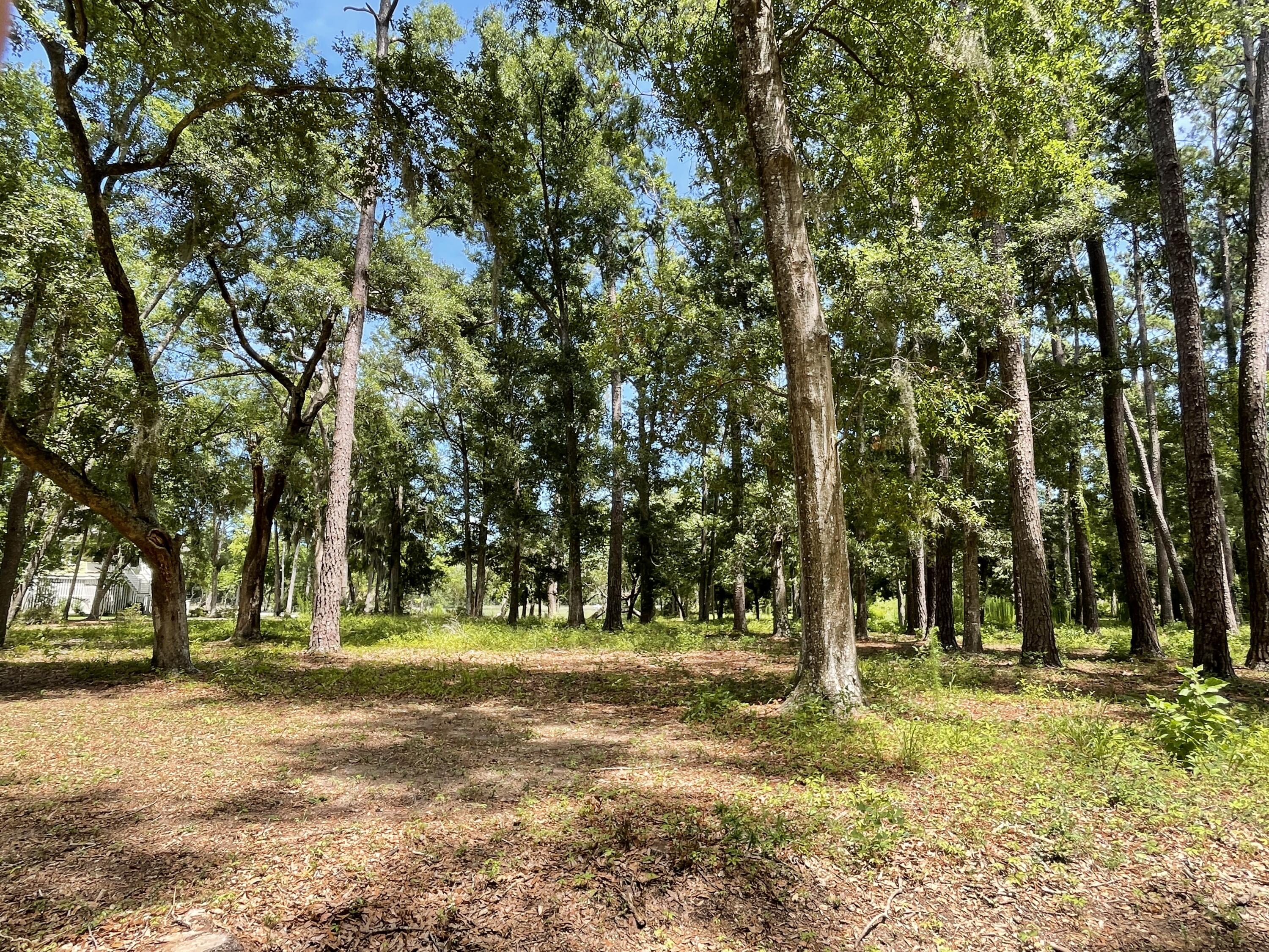 13 Chaplin Garden Lane