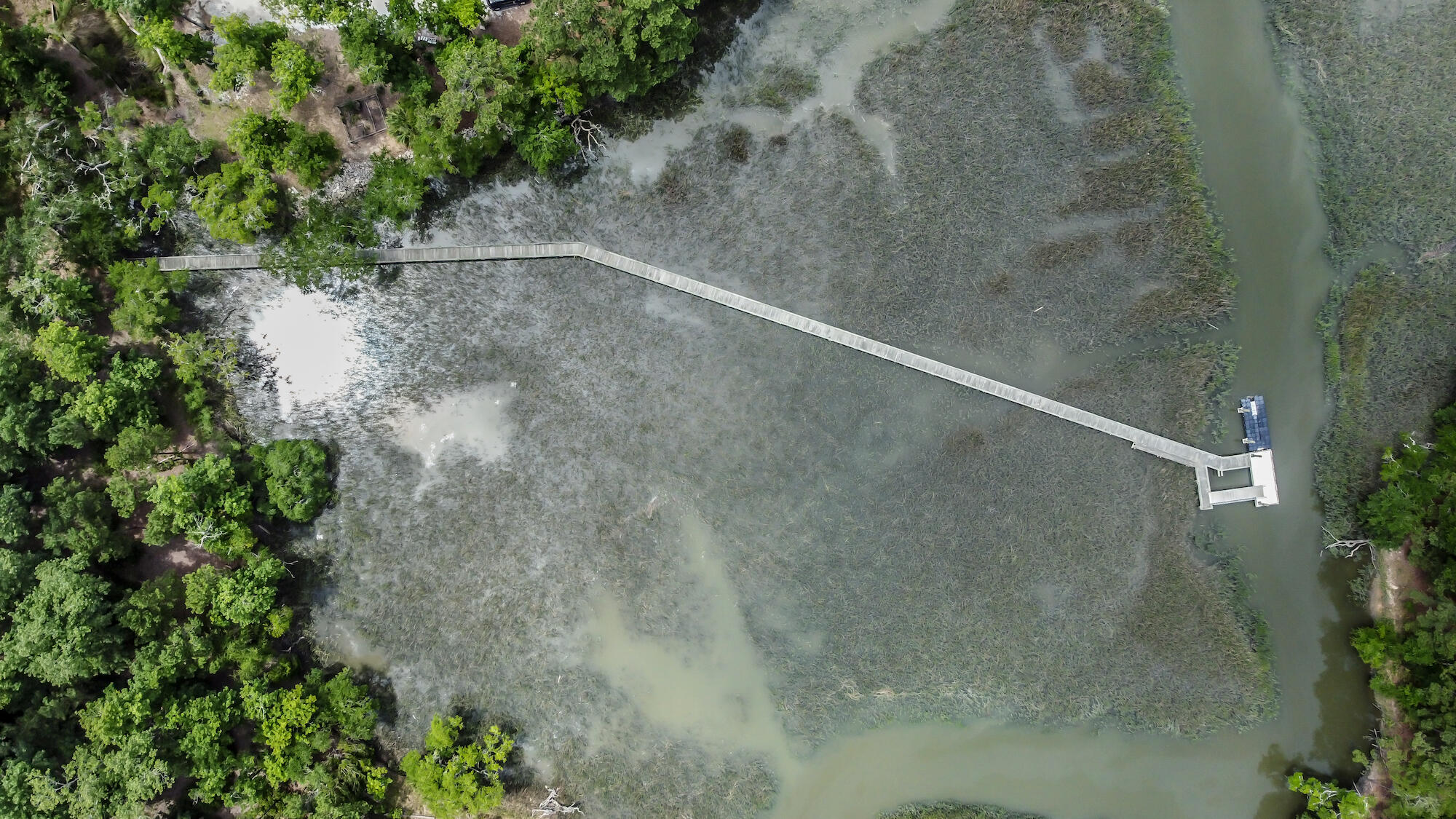 13 Chaplin Garden Lane