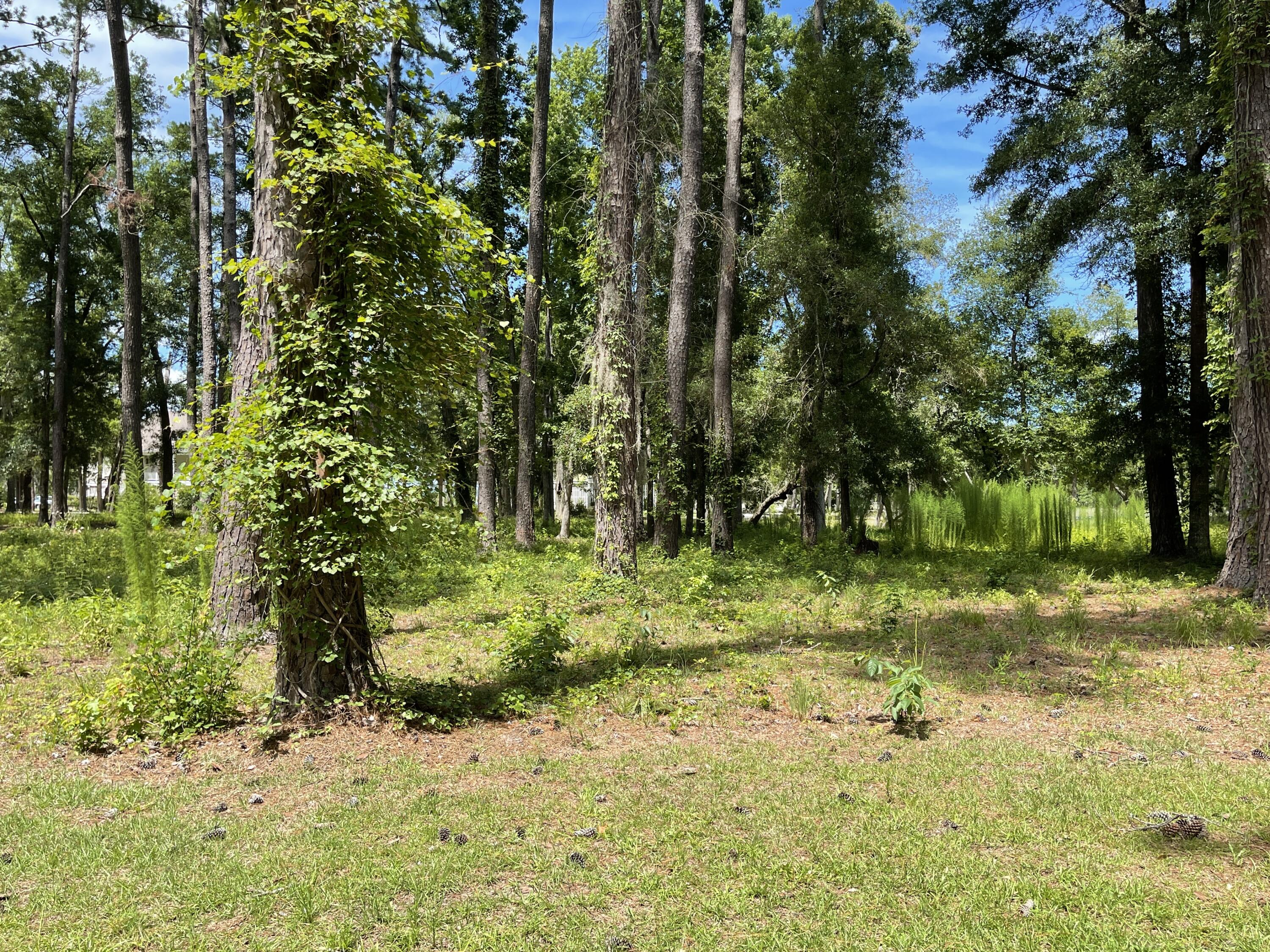 13 Chaplin Garden Lane