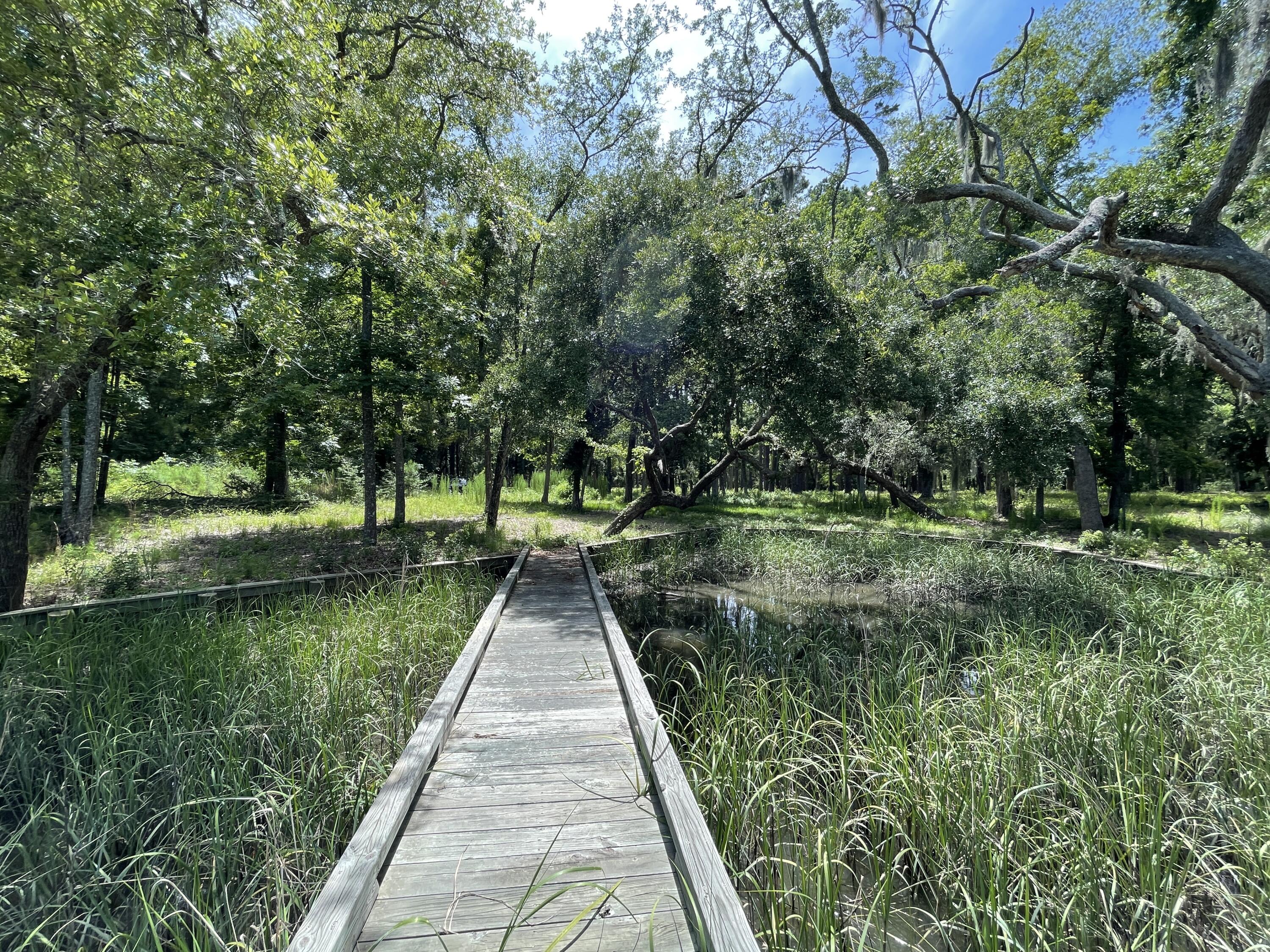 13 Chaplin Garden Lane