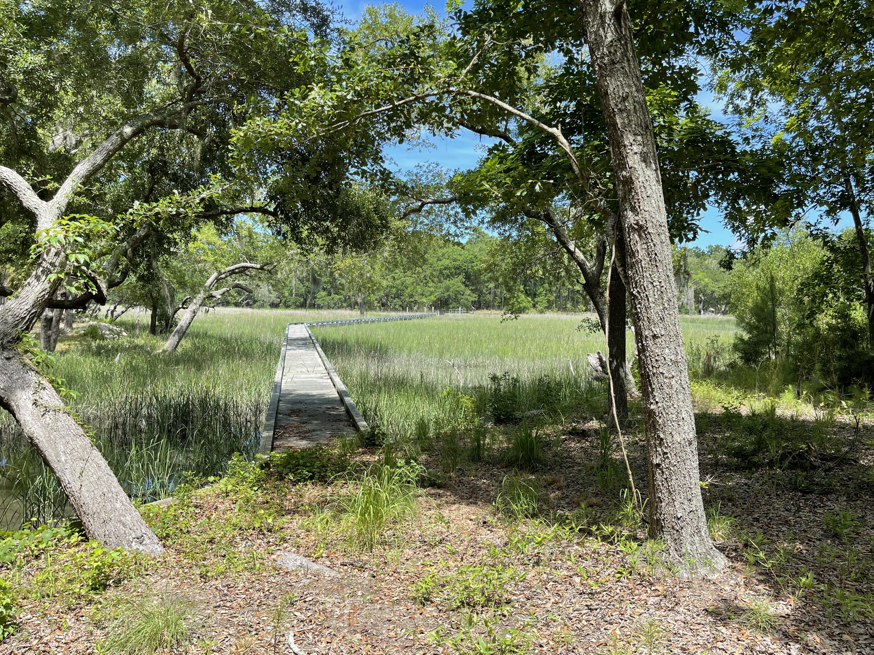 13 Chaplin Garden Lane