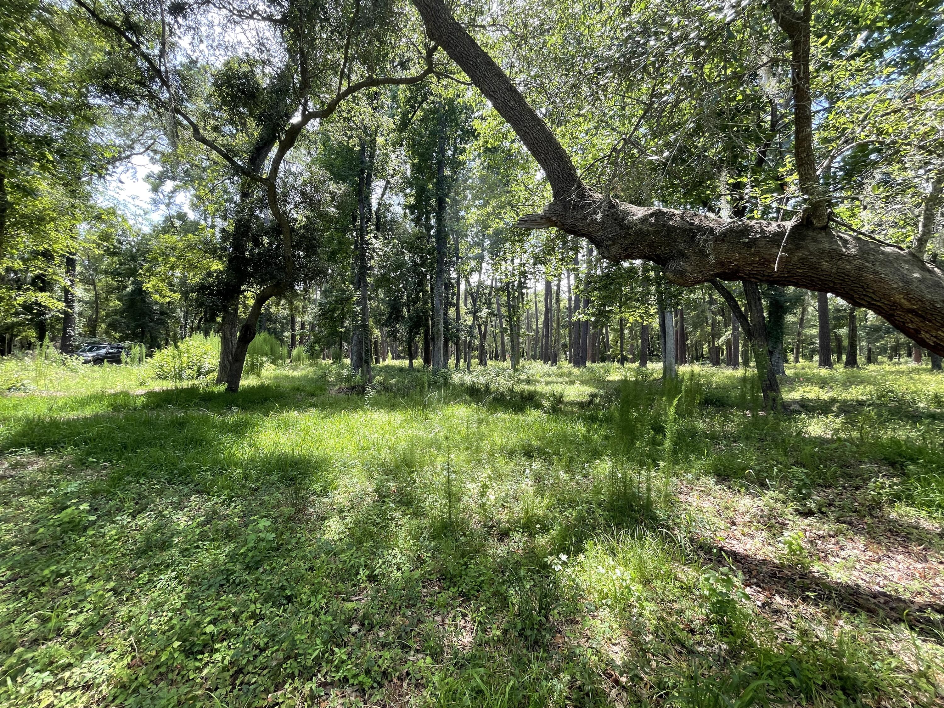 13 Chaplin Garden Lane