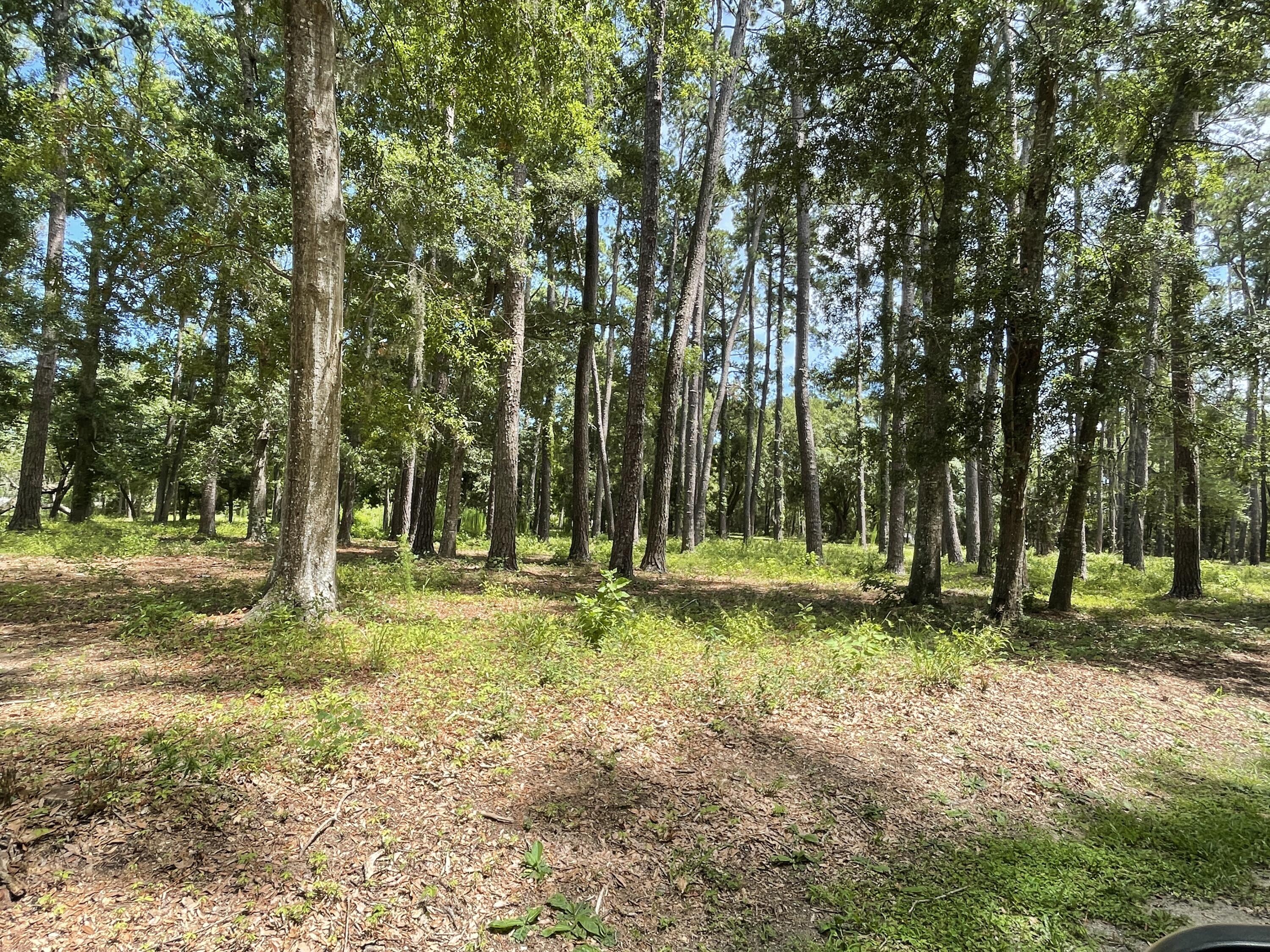 13 Chaplin Garden Lane