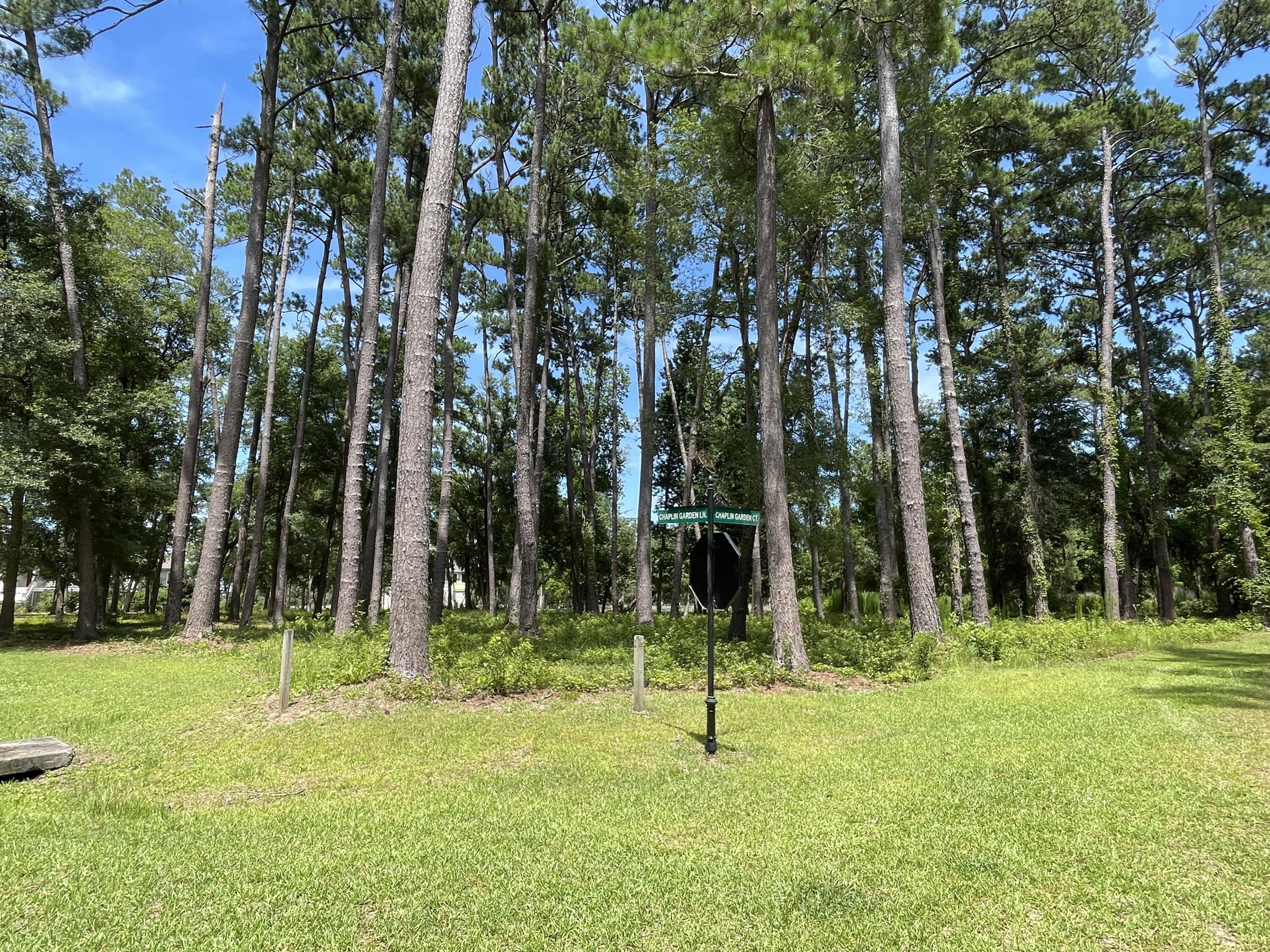 13 Chaplin Garden Lane