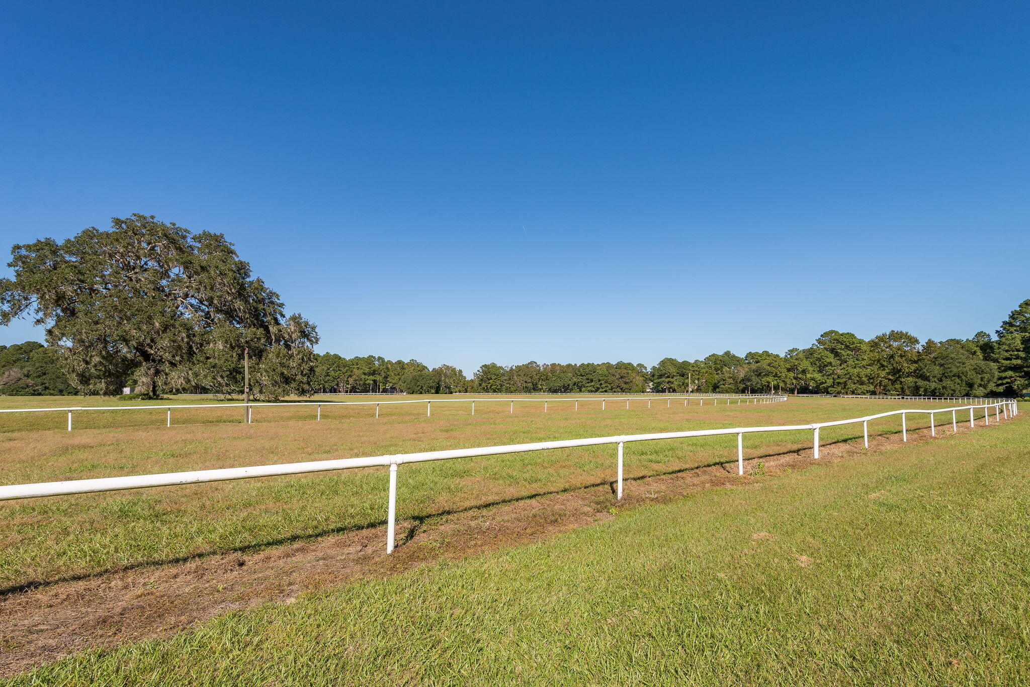 6179 Wilkes Pond Drive