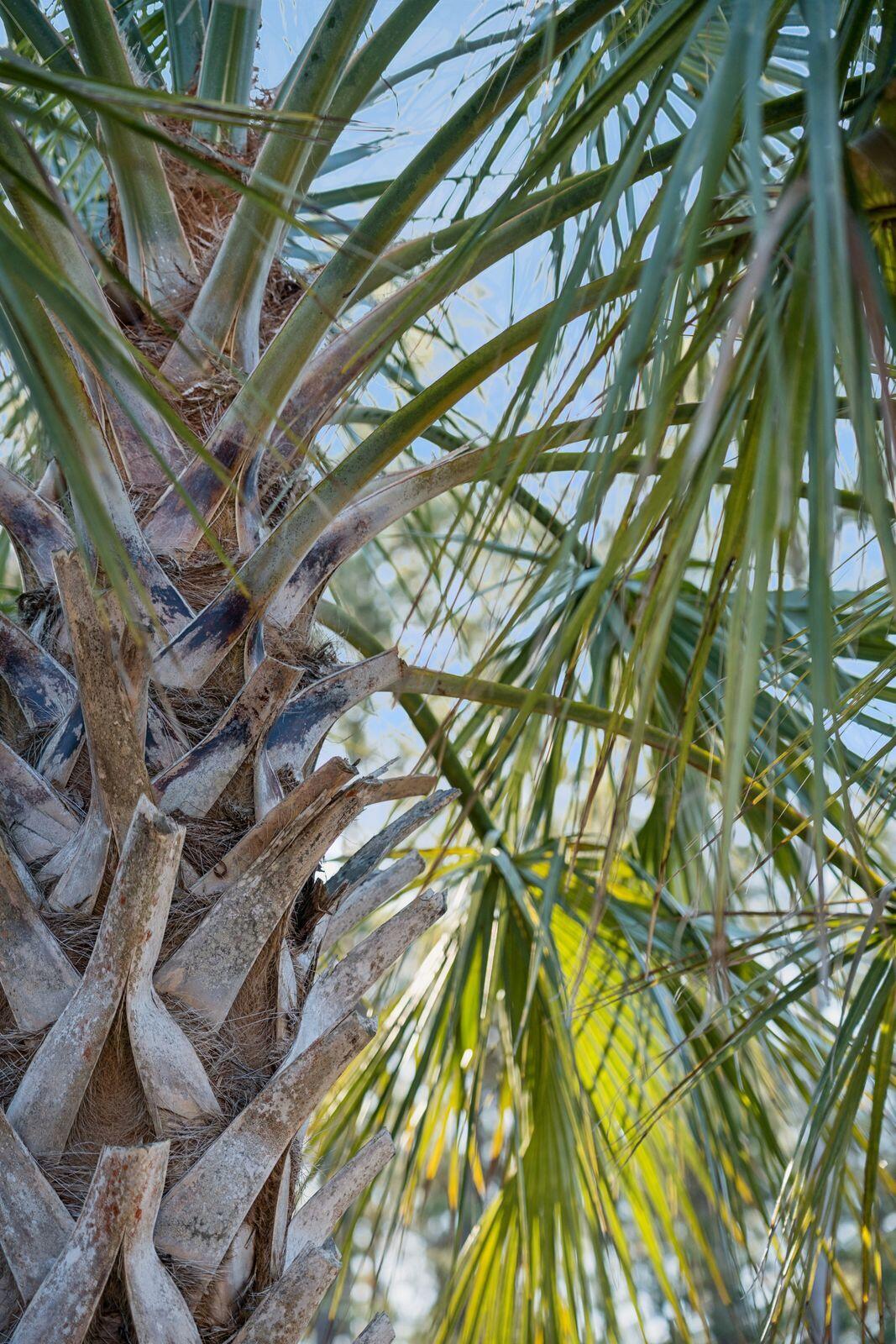 1348 Wild Goose Trail