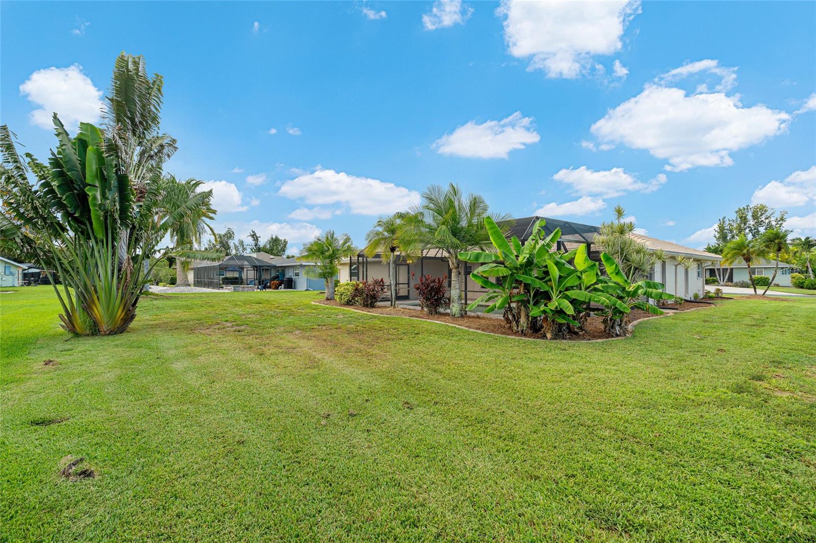 1123 MISTI CT