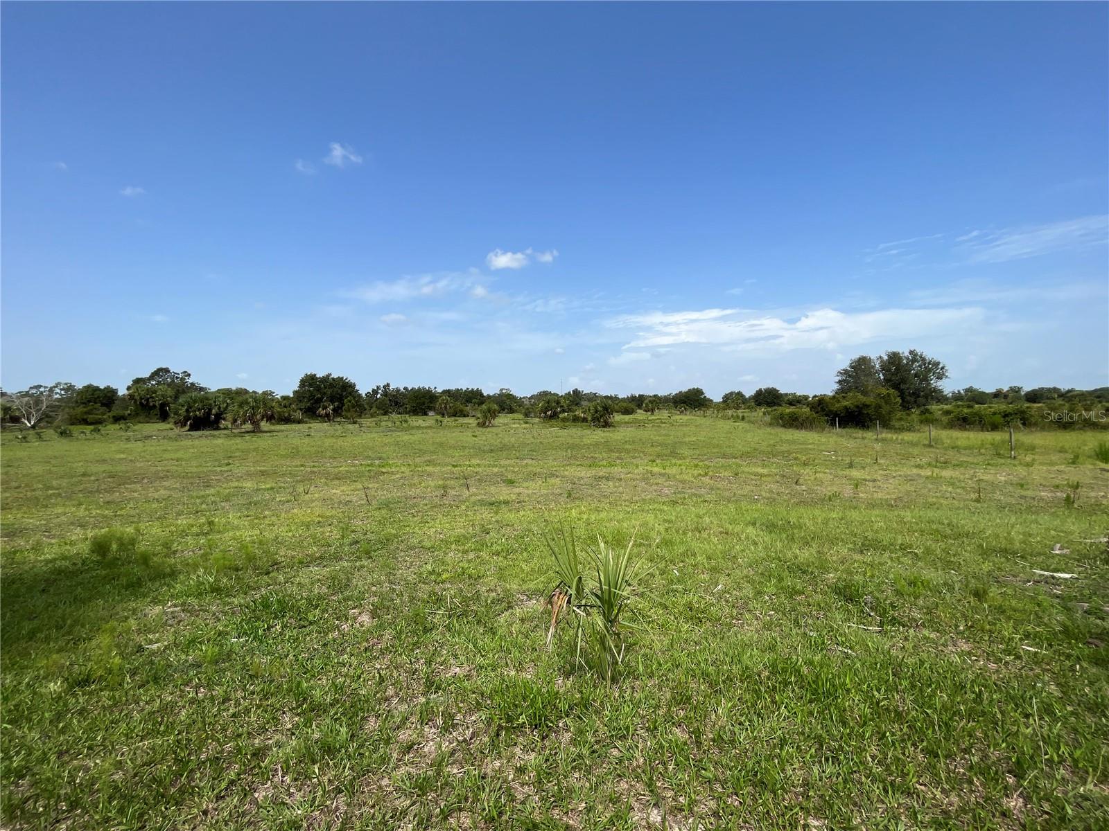 16425 COKER GULLY RD