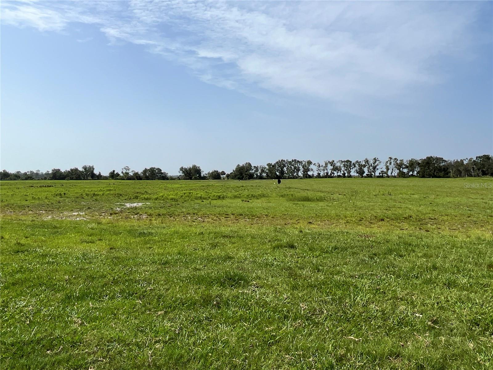 16425 COKER GULLY RD