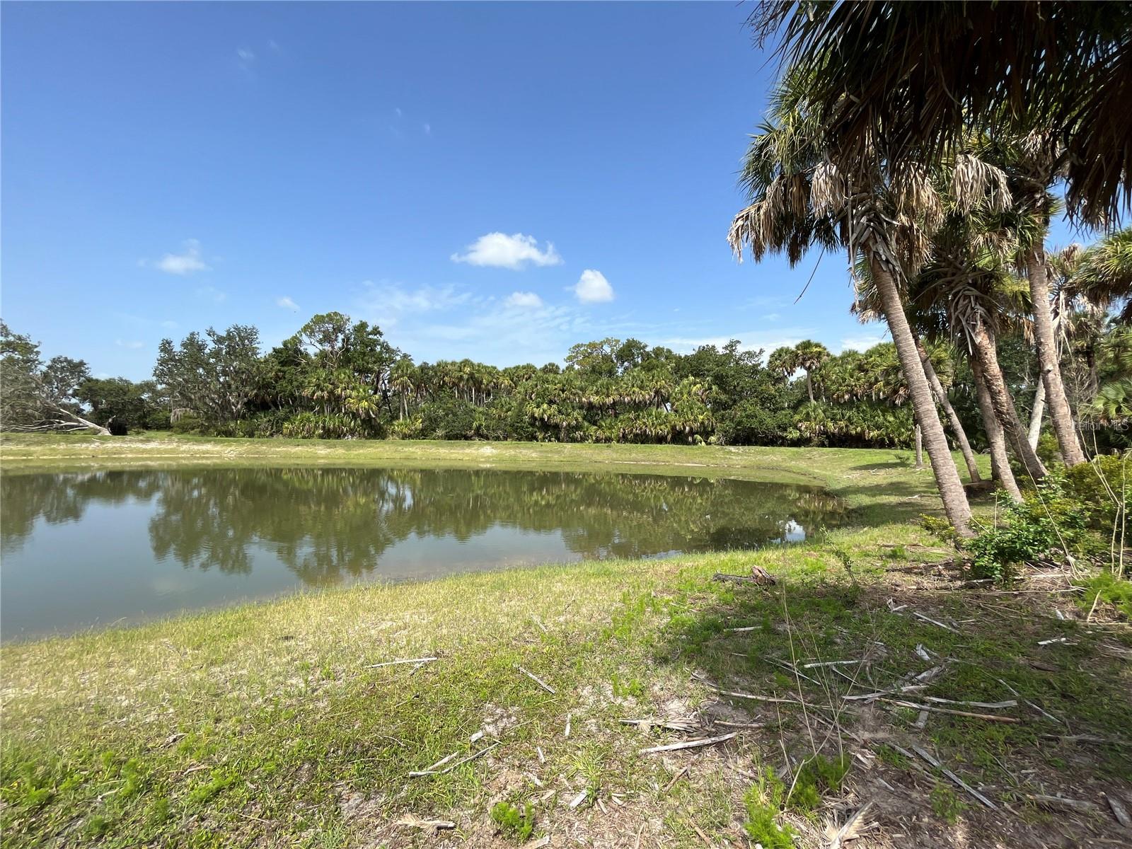 16425 COKER GULLY RD